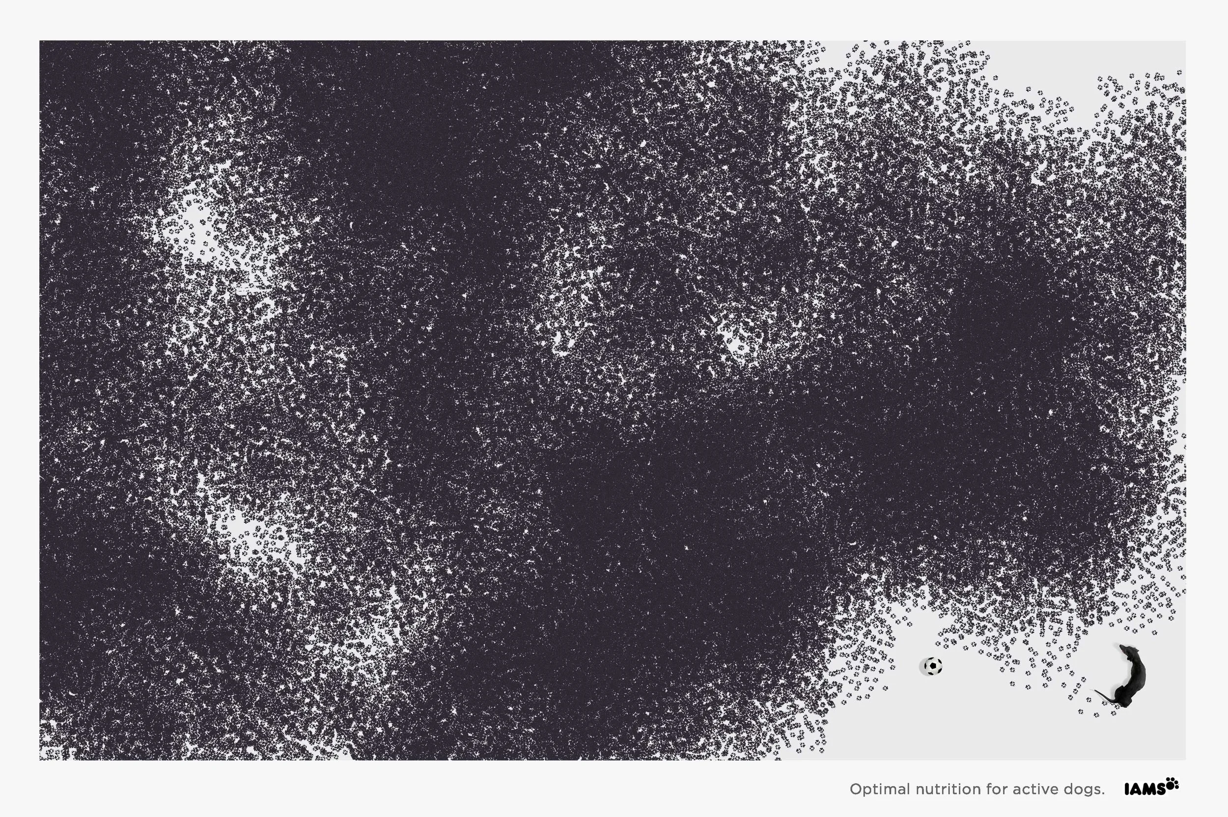 Footprints-Wide3.jpg