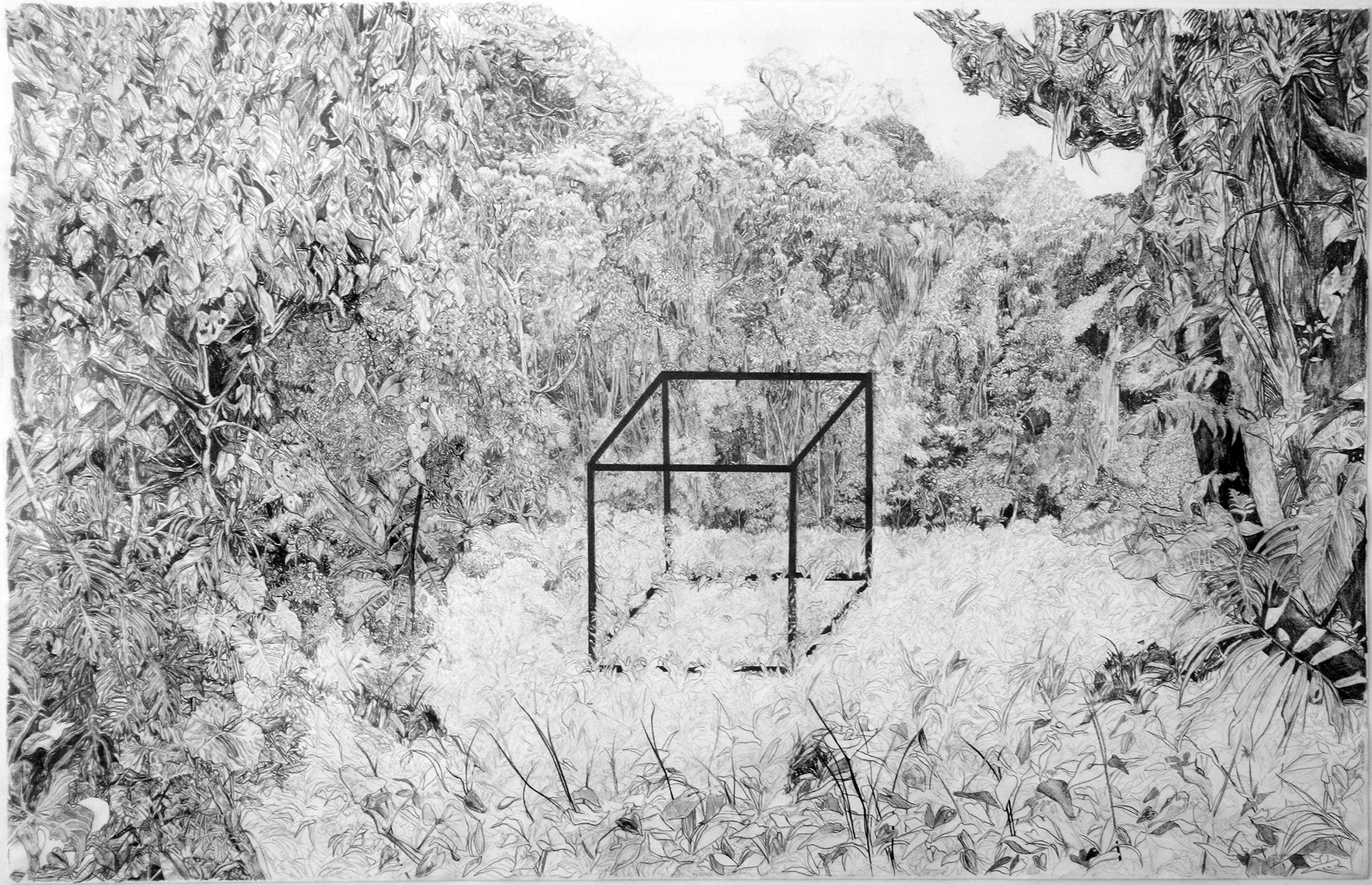 Untitled (The Precipice of Man)