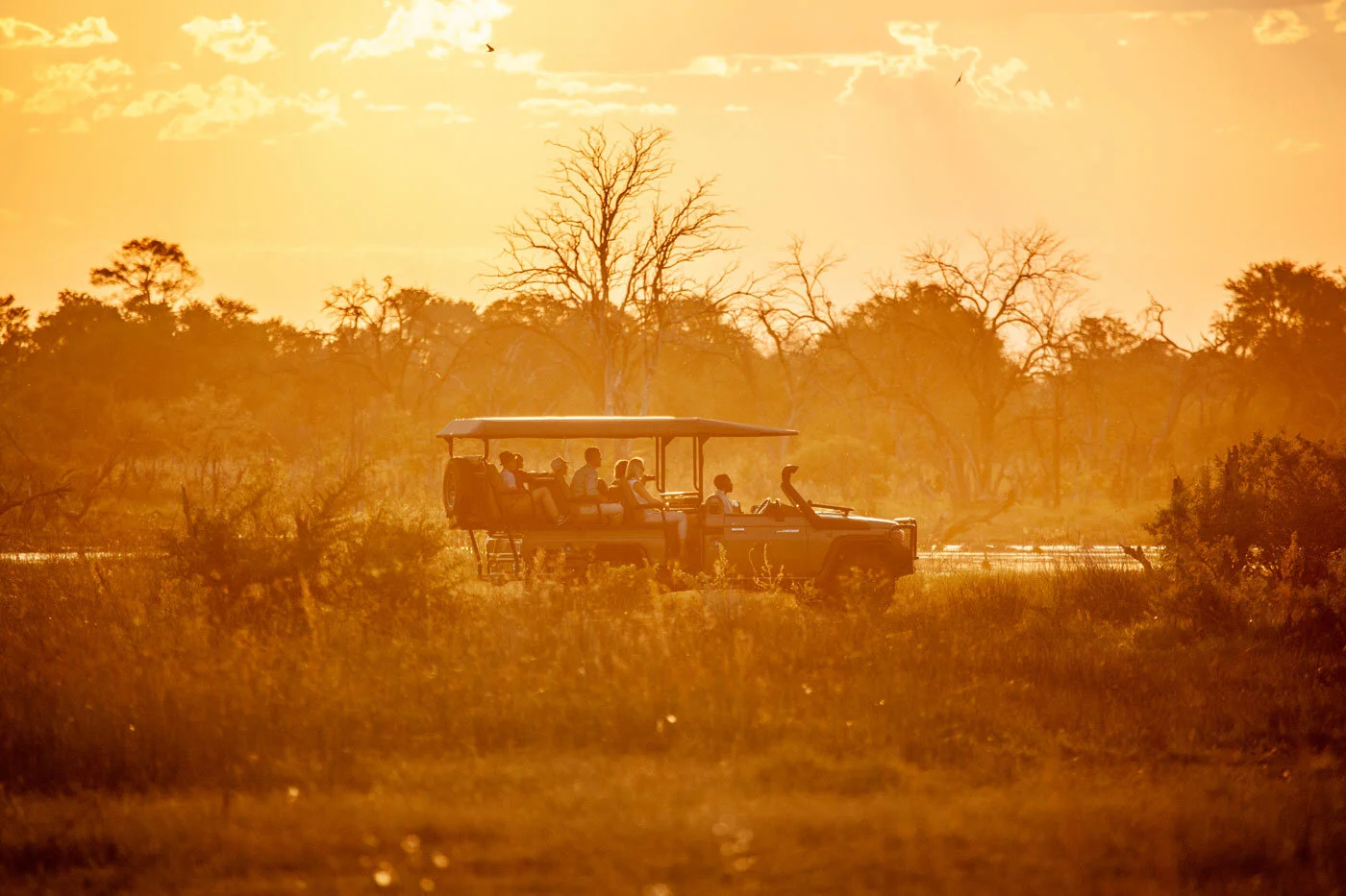 Tailor-Made Tours in Africa