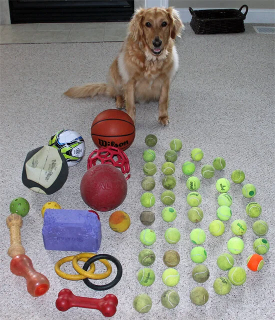 Tucker, an actual client, gathers assets for review.