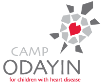 camp odayin logo.png