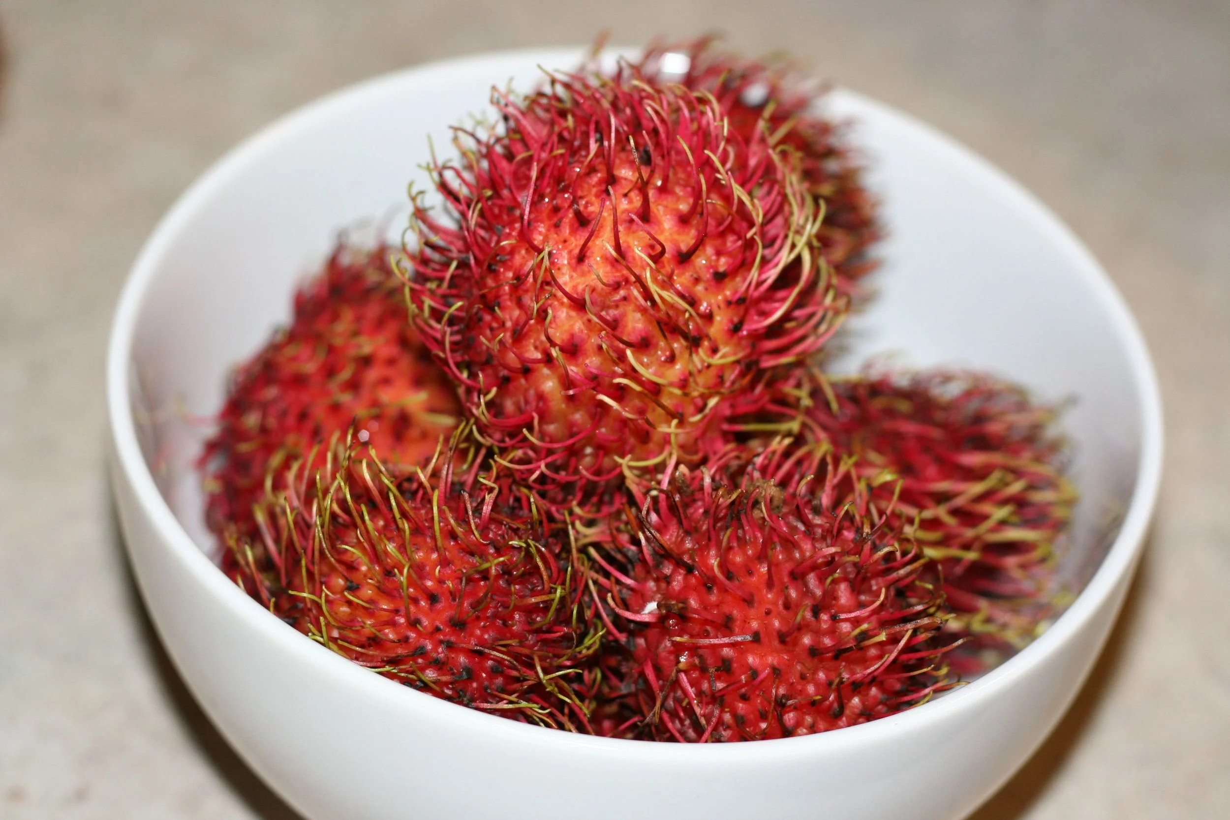 rambutan2