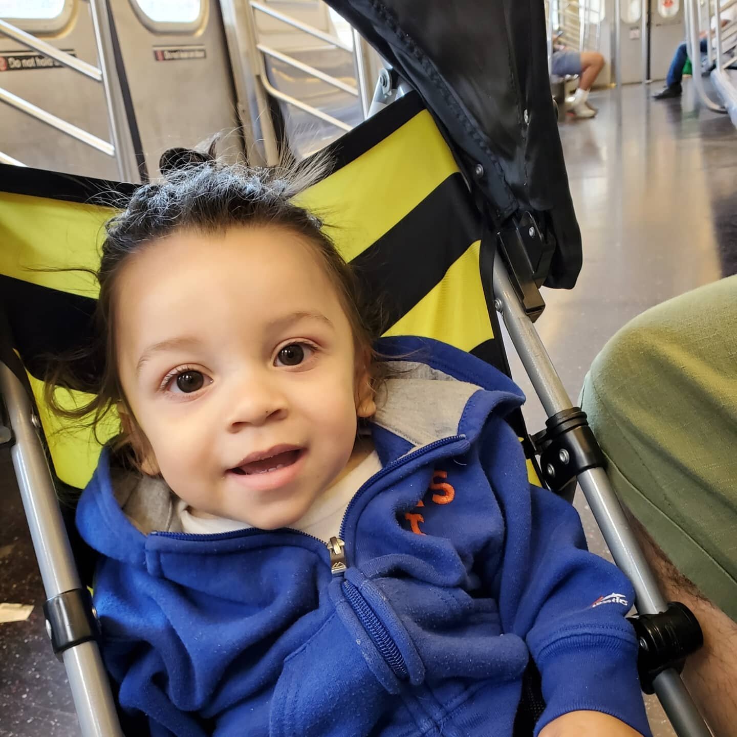 Baby bull's first train ride 🚇
#wywythecutiepie