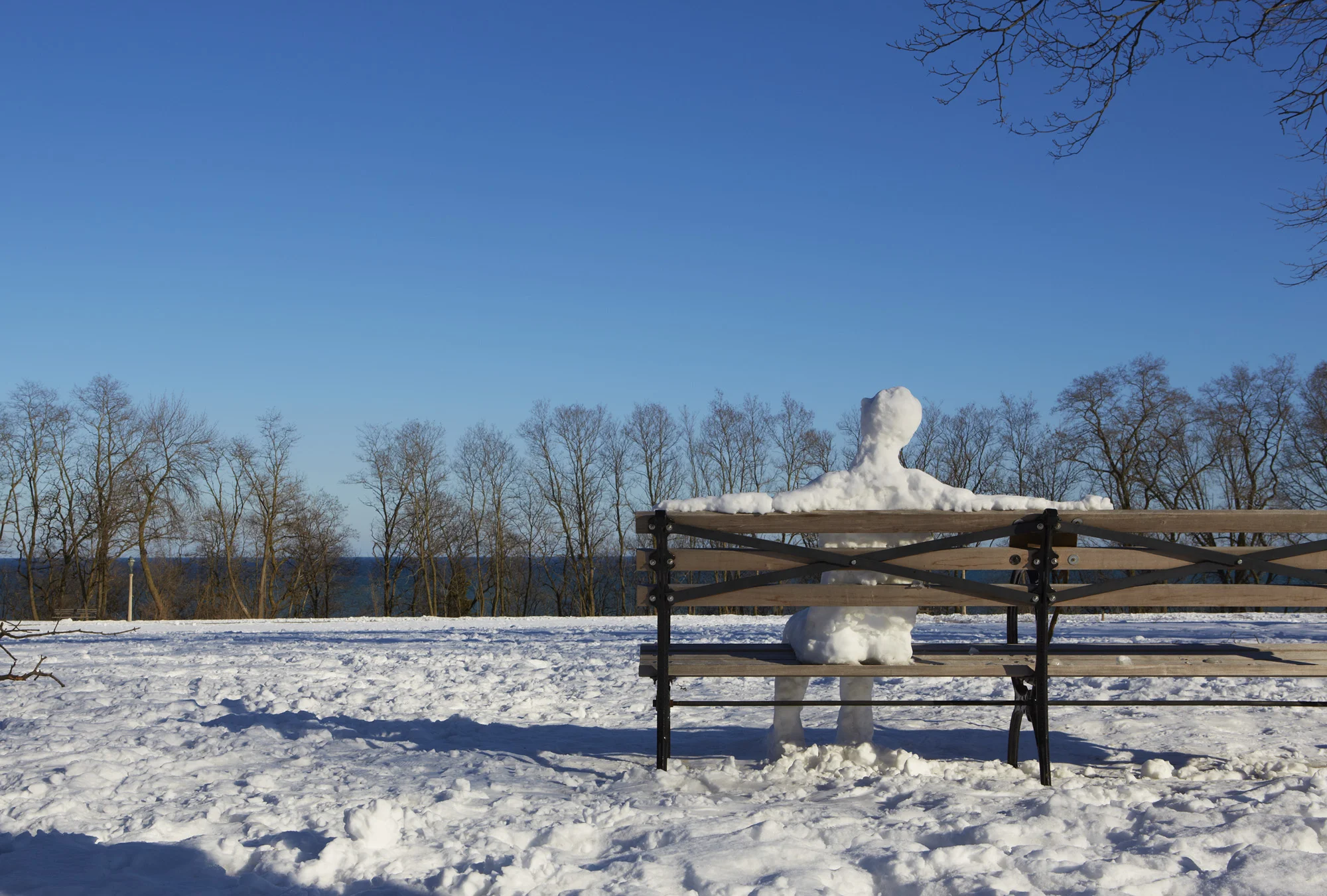 SnowBnchMn081A.jpg