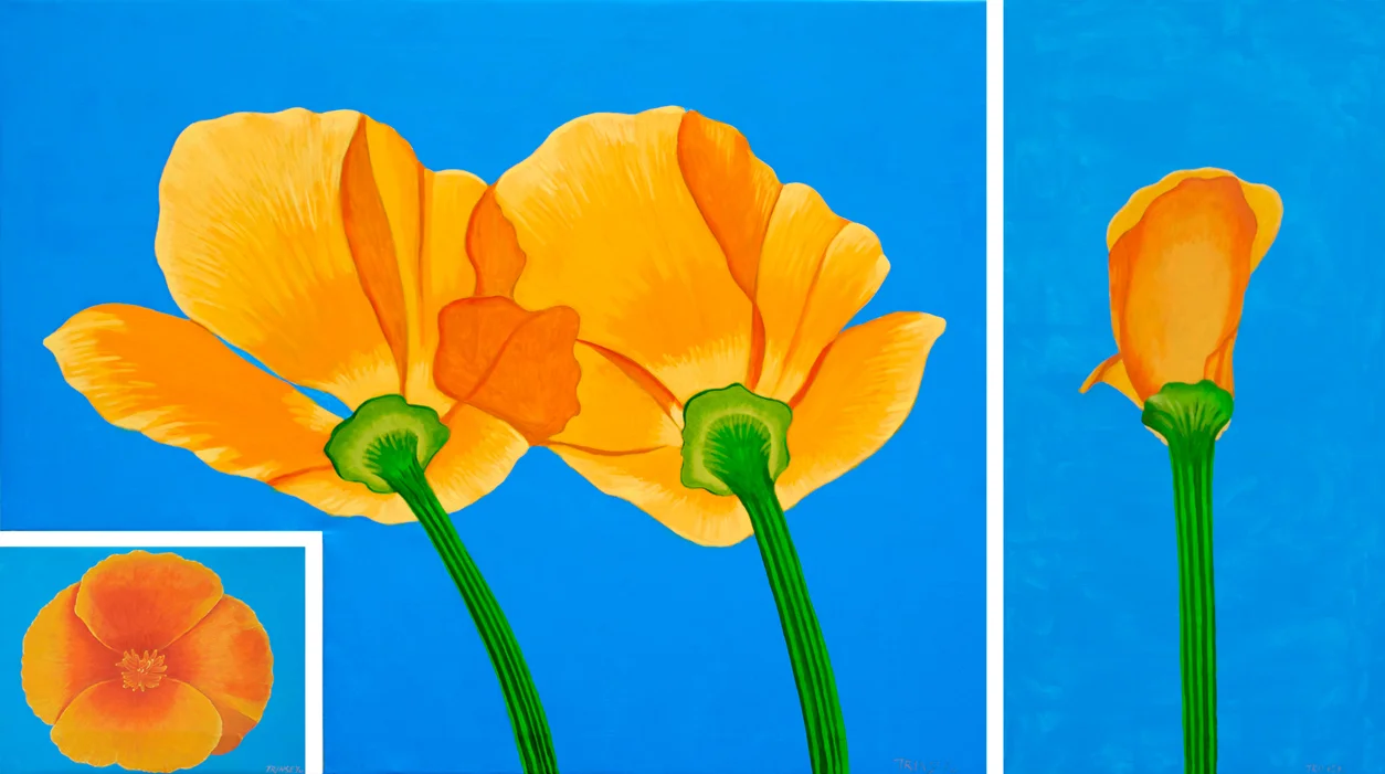 Intersecting Poppies