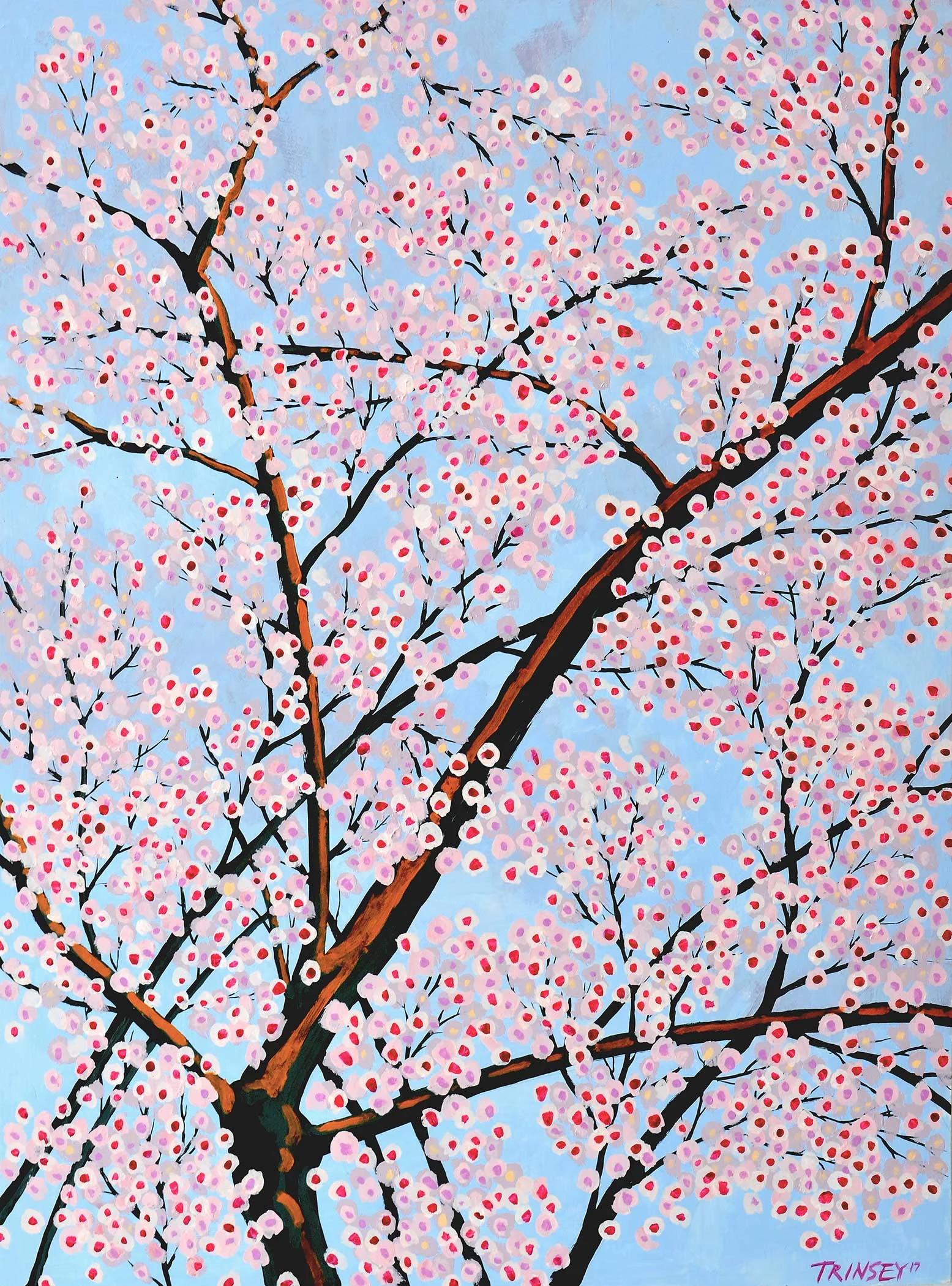 Pink Blossoms