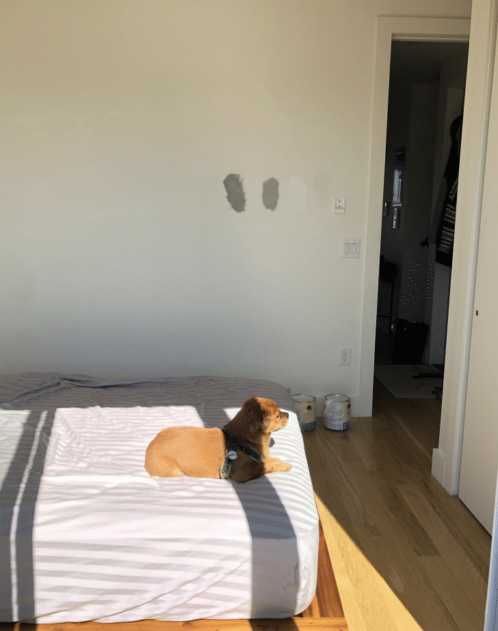 Space to a small NYC room