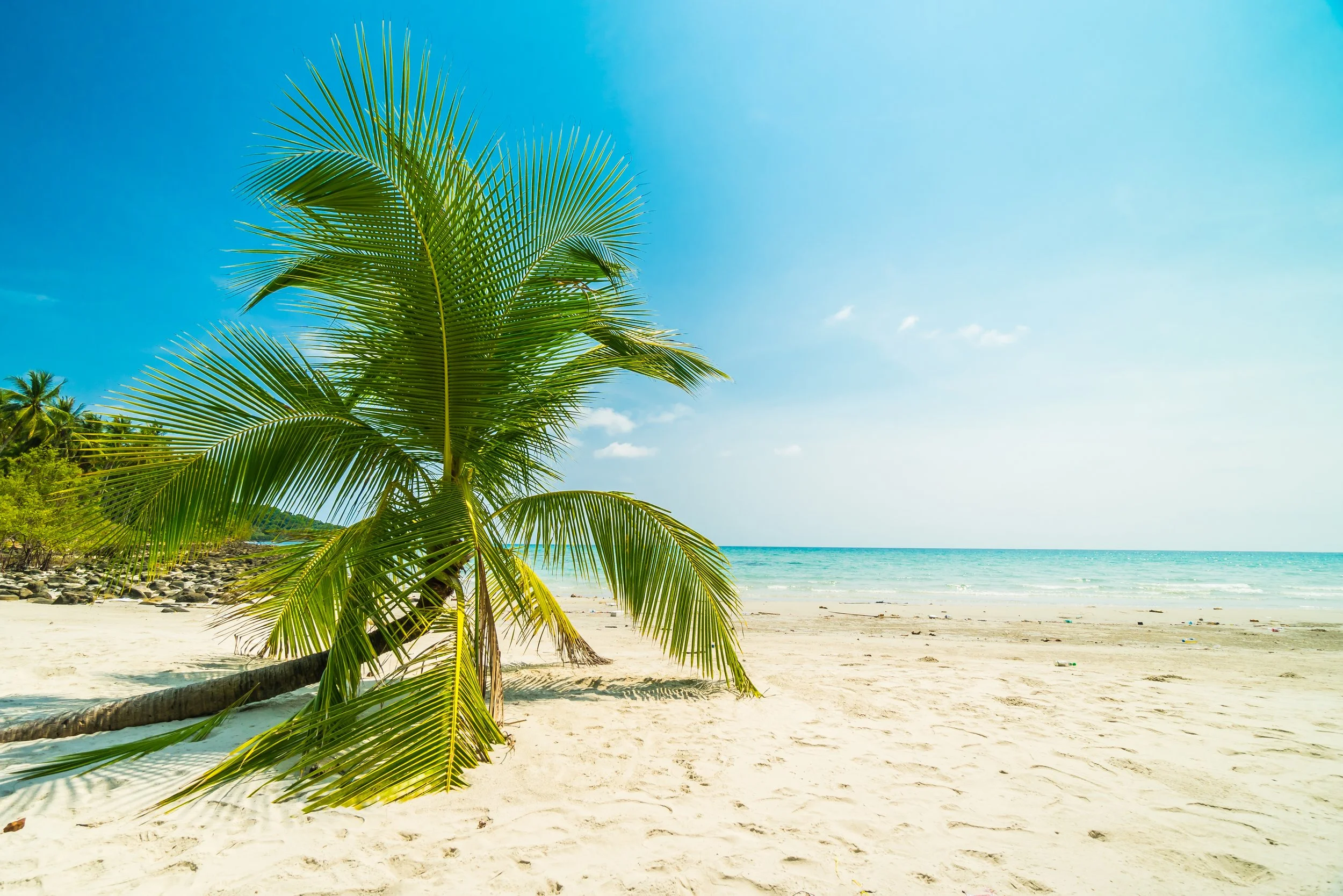 beautiful-nature-tropical-beach.jpg