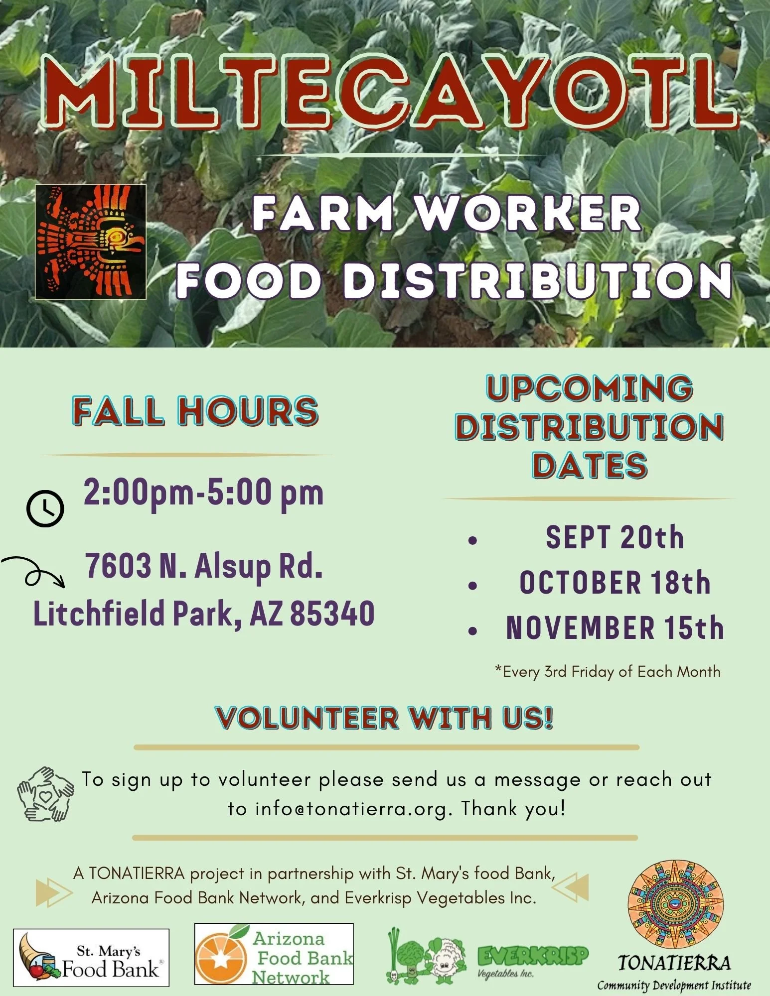 fall 24 MILTECAYOTL ENG.jpg