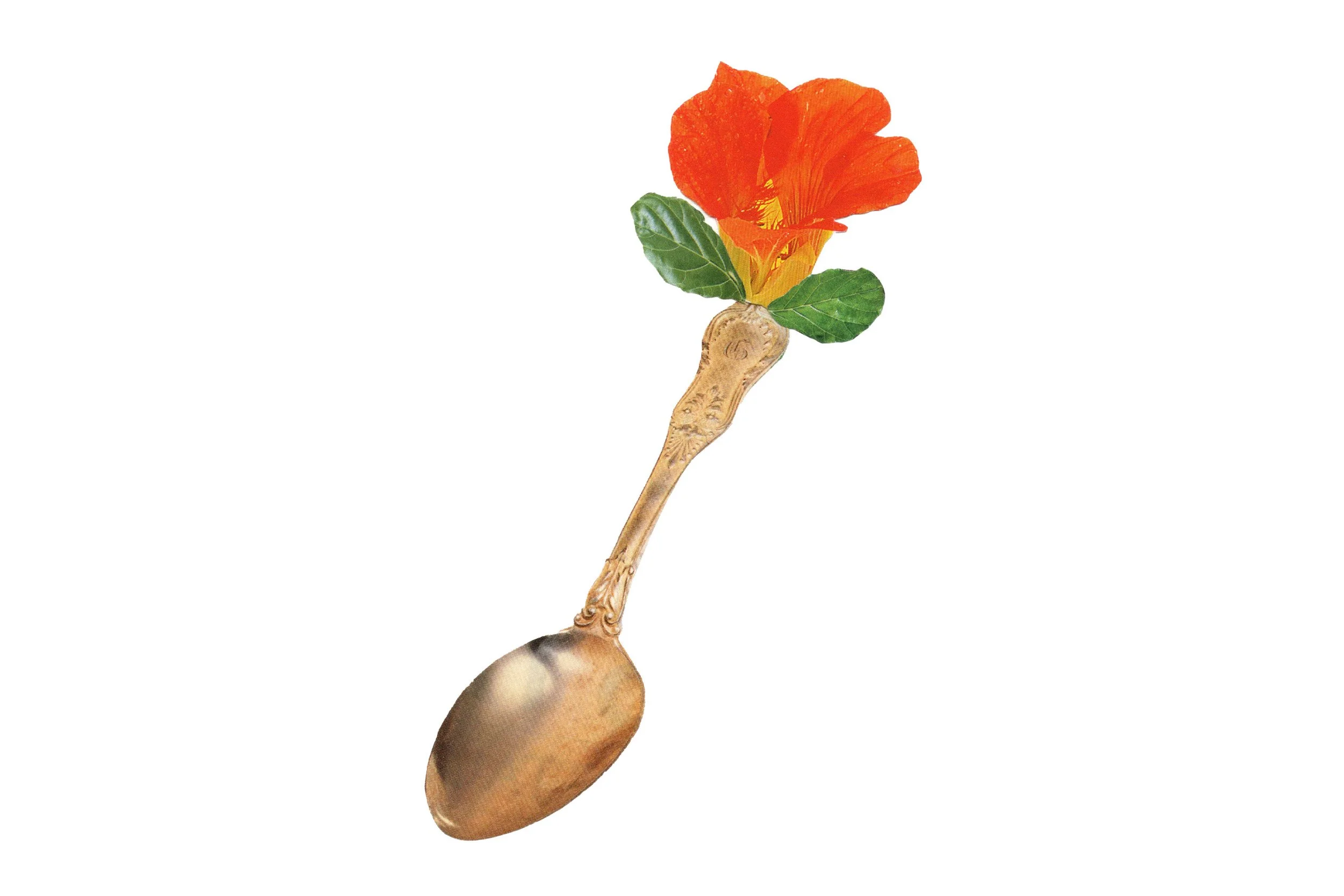 card-web-spoon.jpg