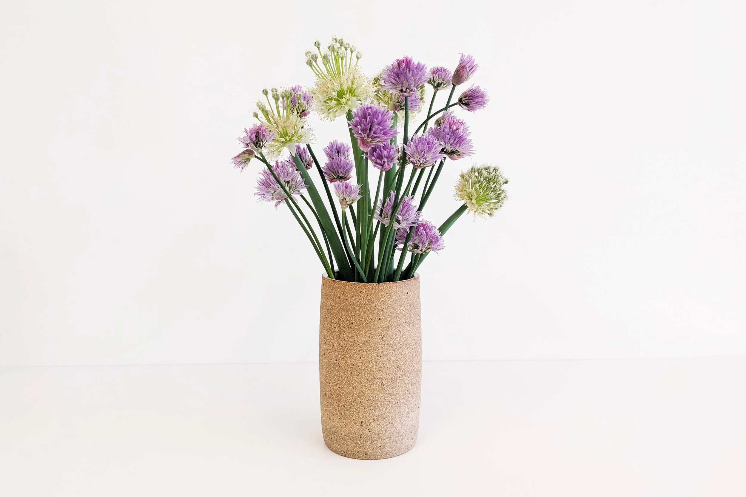 cyliner-chives.jpg