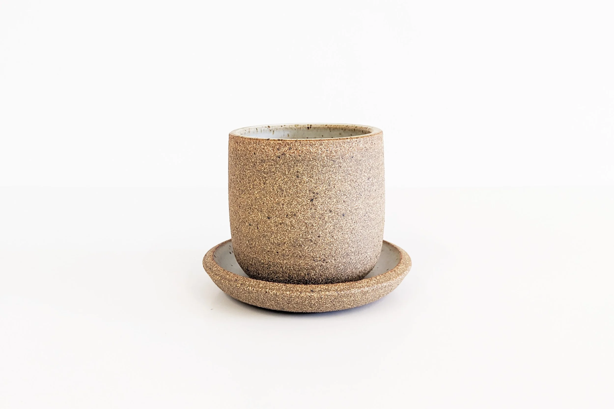 cup-saucer-2026.jpg