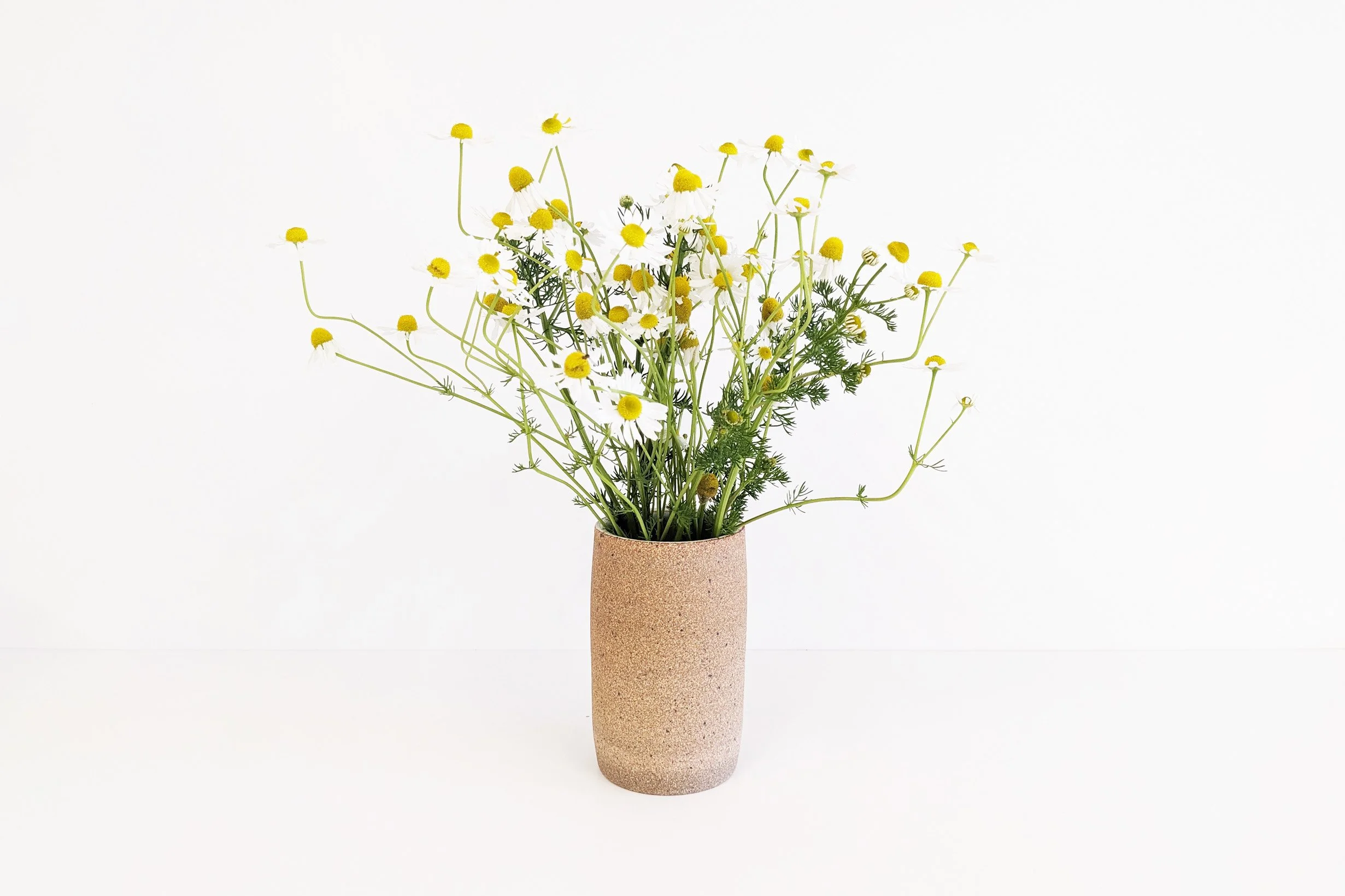 vase-chamomile.jpg