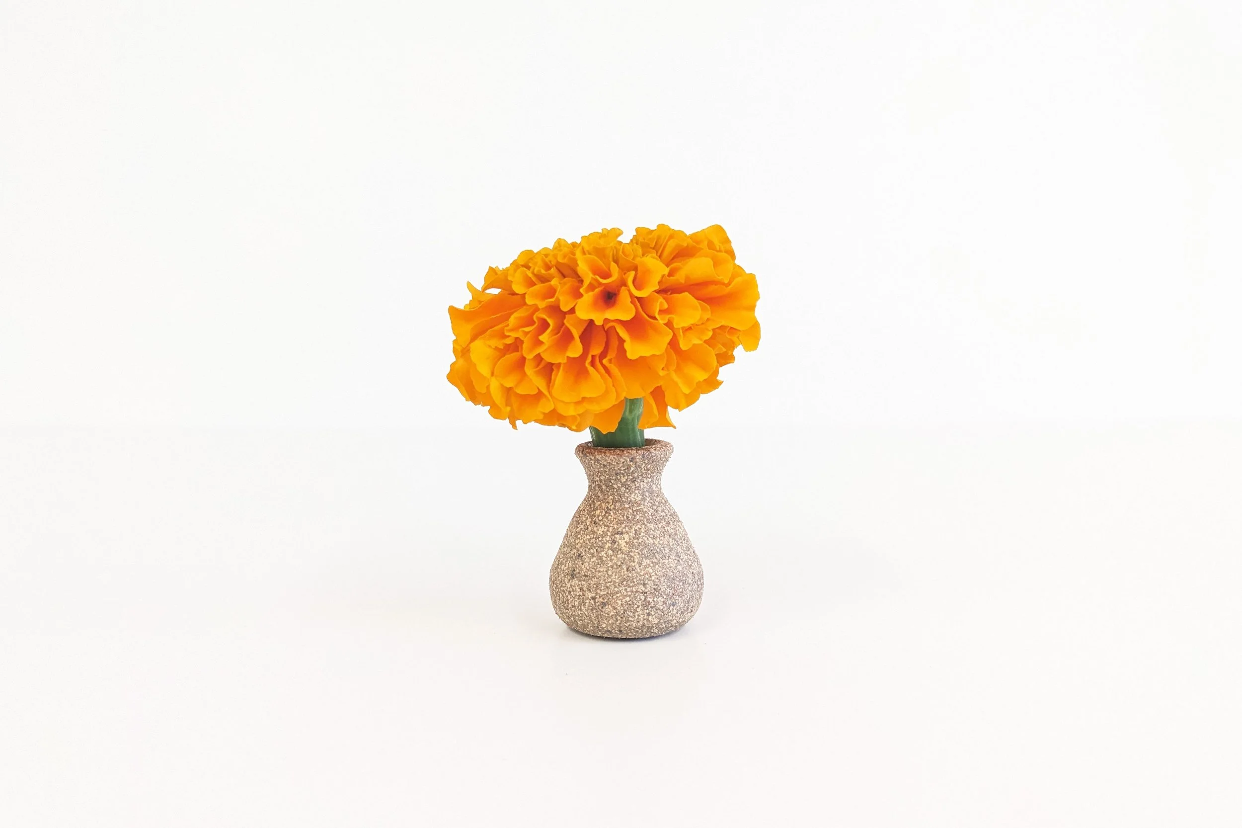 teeny-tiny-vase-mari.jpg
