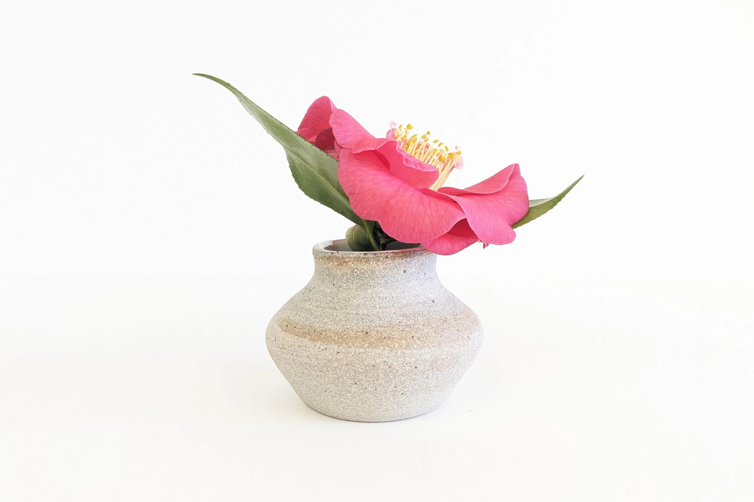 24-flower-2025.jpg