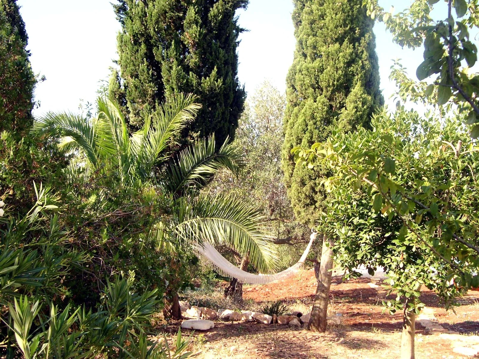 3 acres mediterranean garden