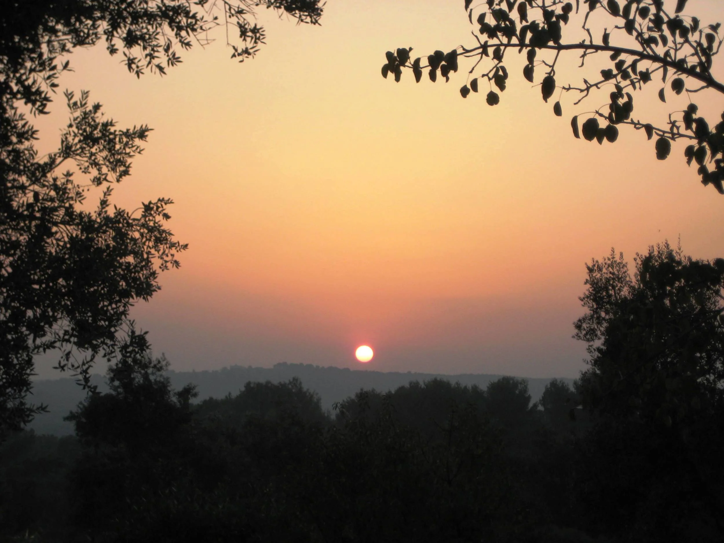 sunsets to dine by