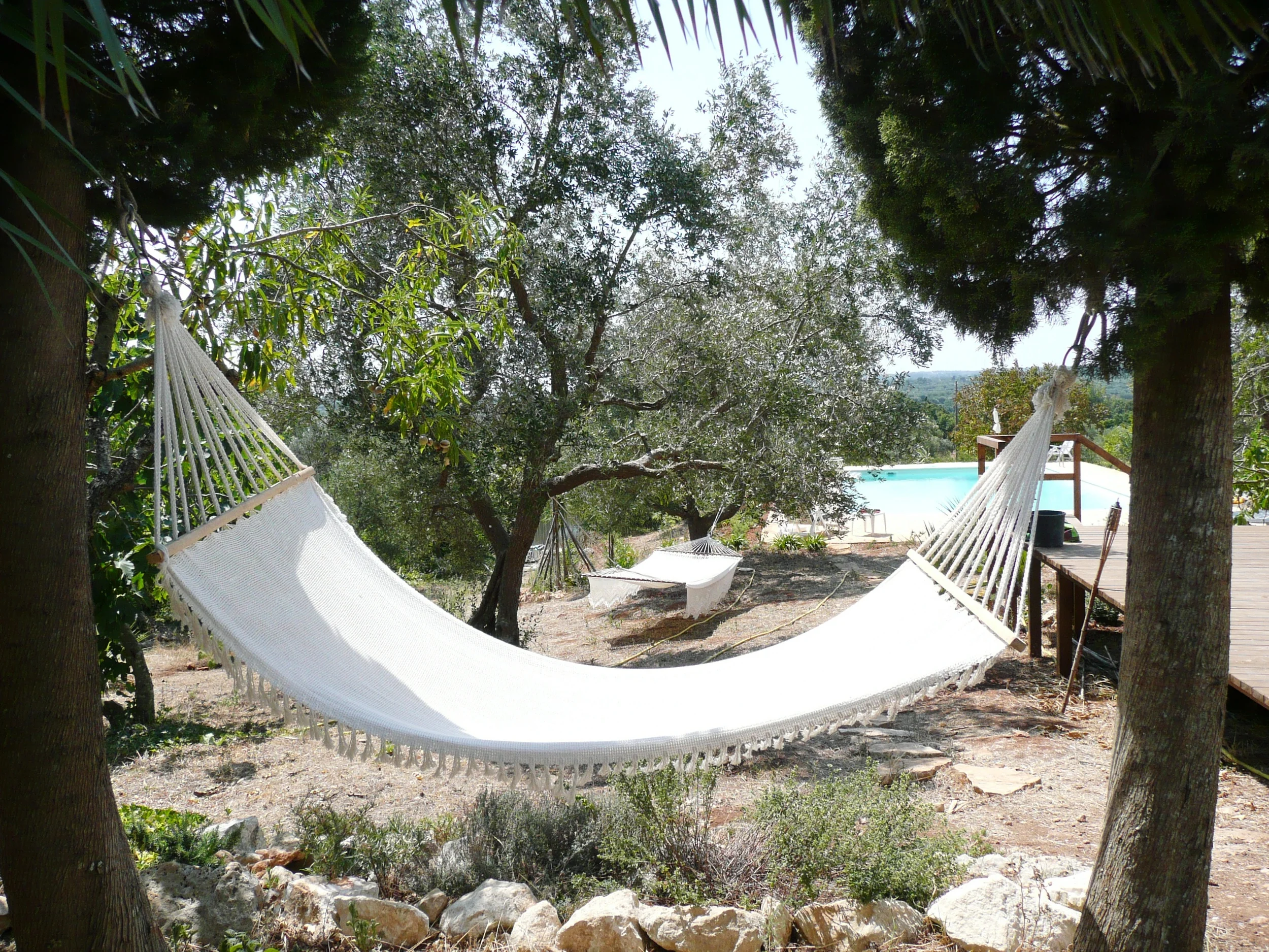 relax in hammocks