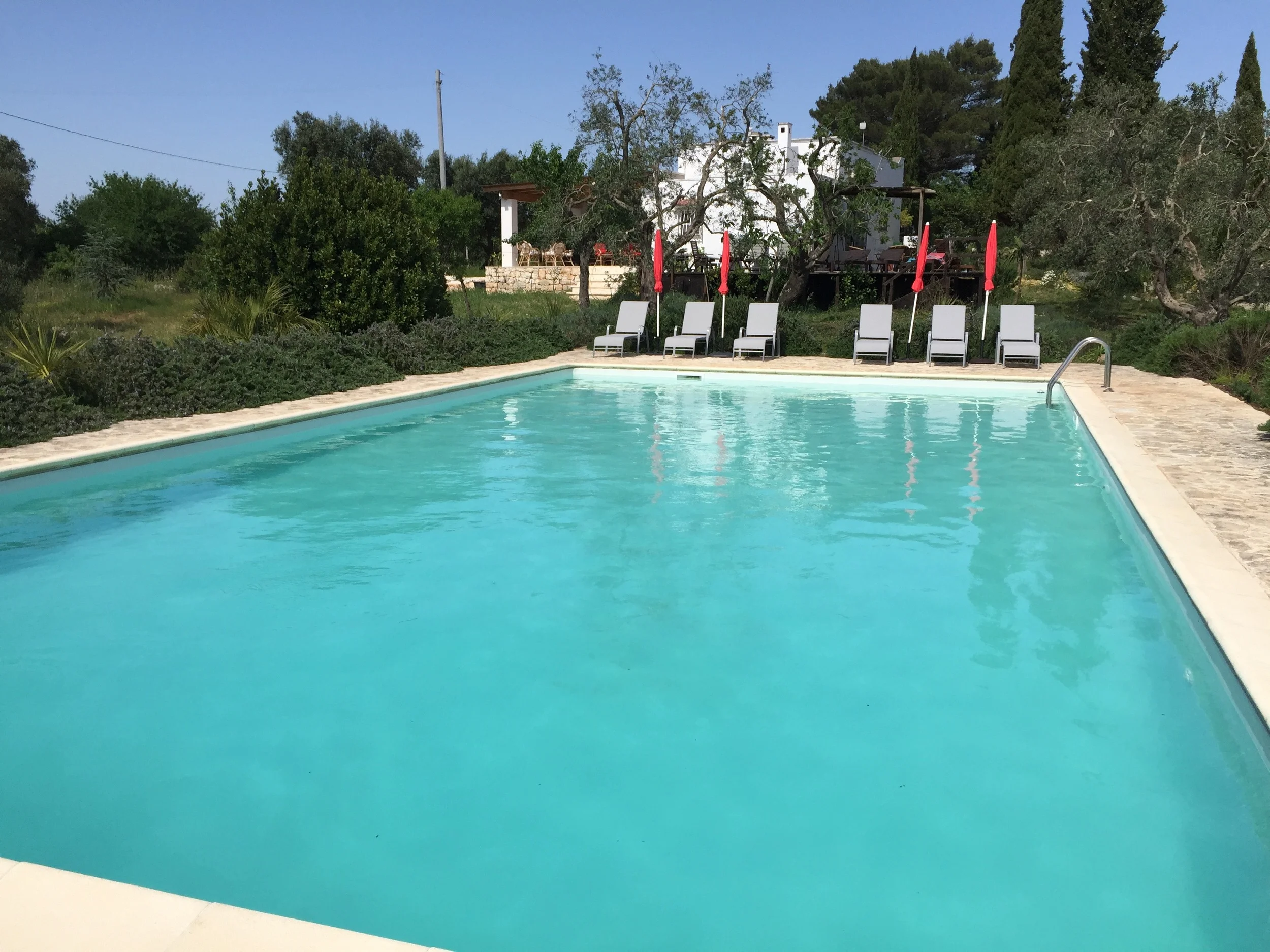 plenty of sun loungers by pool (8+)