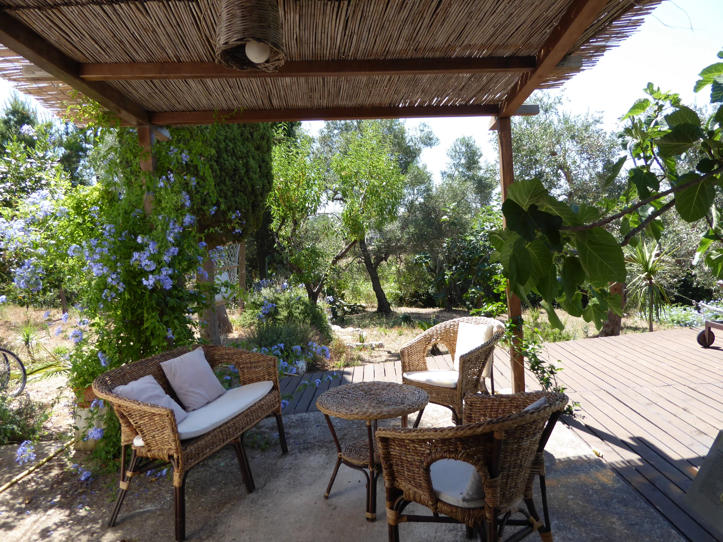 pretty covered patio