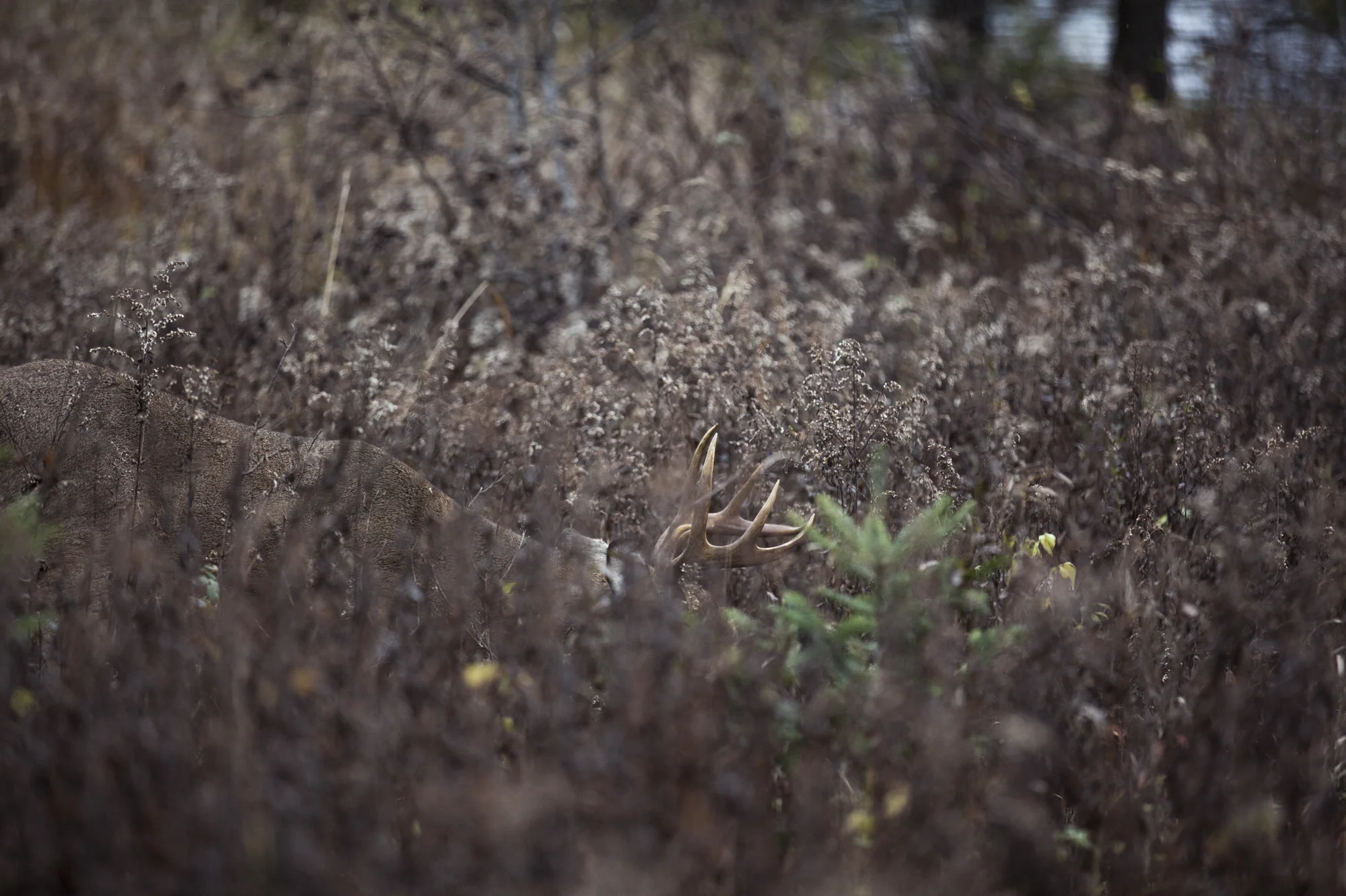 2T3A6128-Edit.jpg