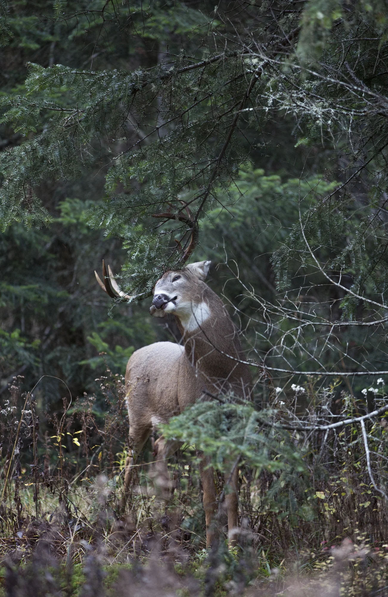 2T3A6210-Edit-Edit.jpg