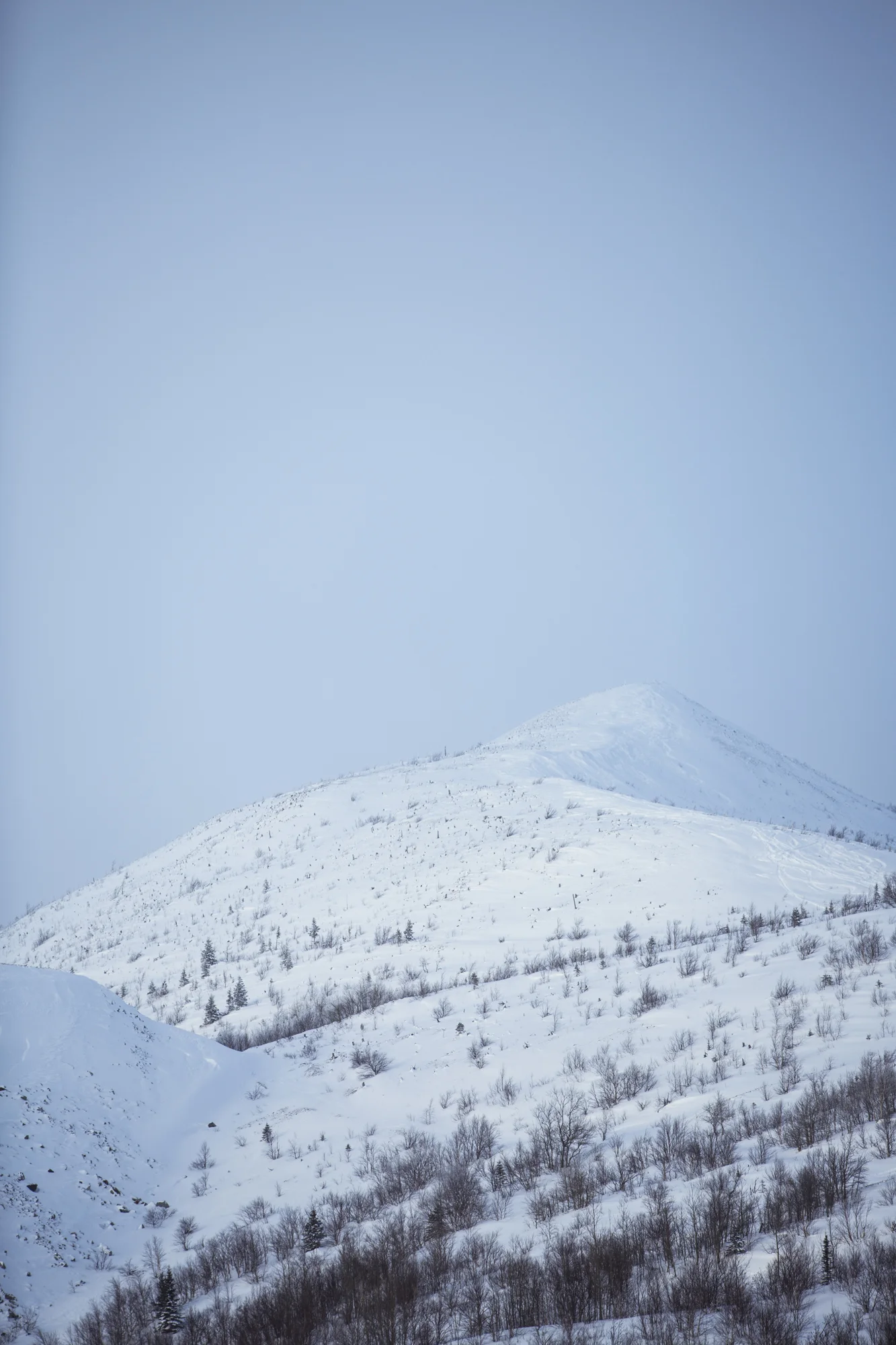 2T3A0149-Edit-Edit.jpg