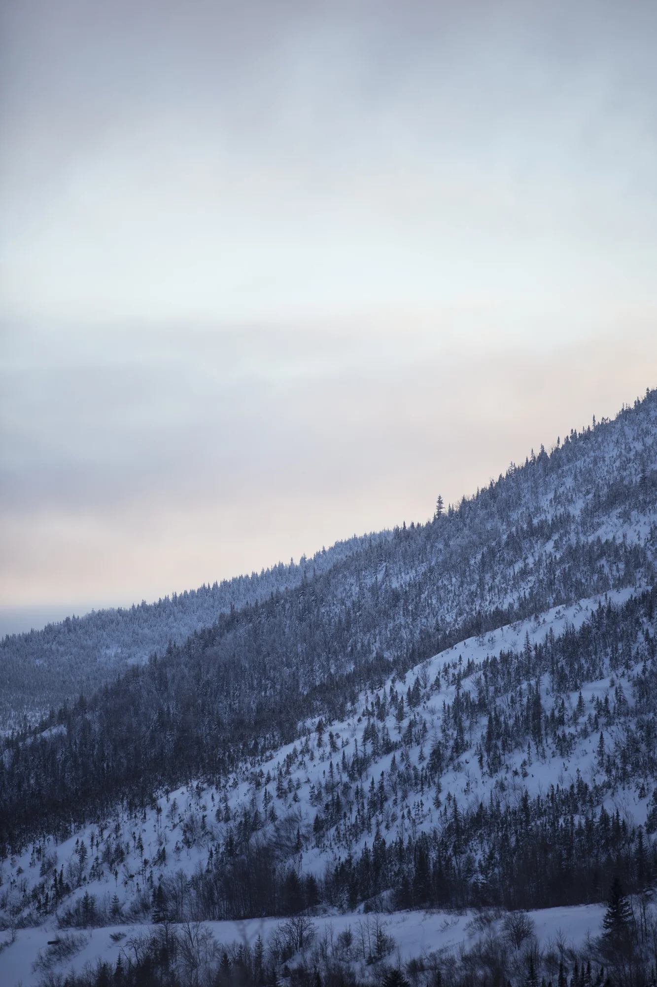2T3A0417-Edit-Edit.jpg