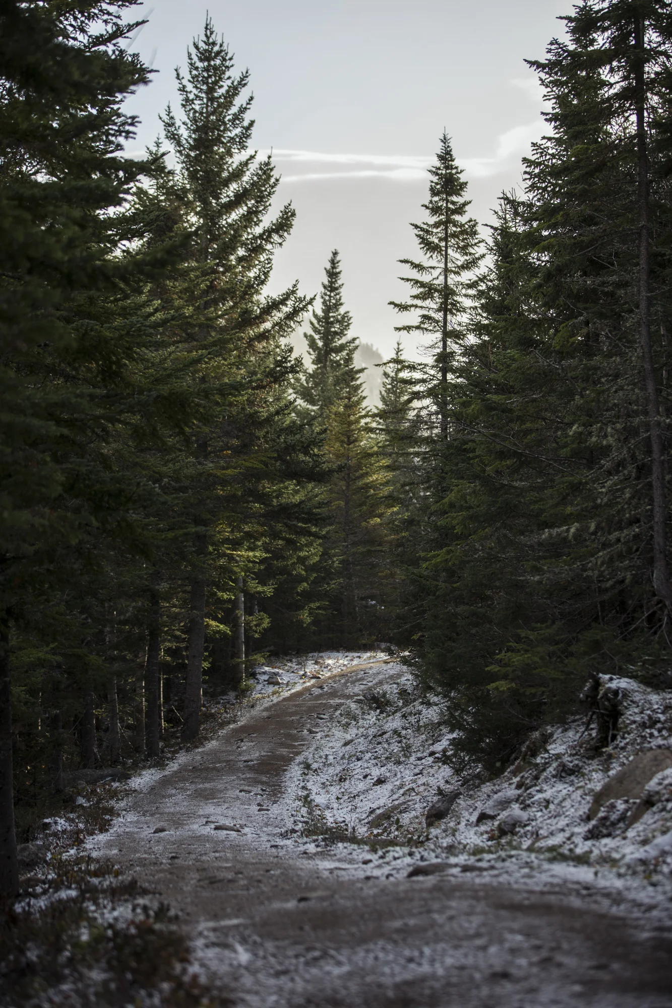 2T3A3850-Edit.jpg