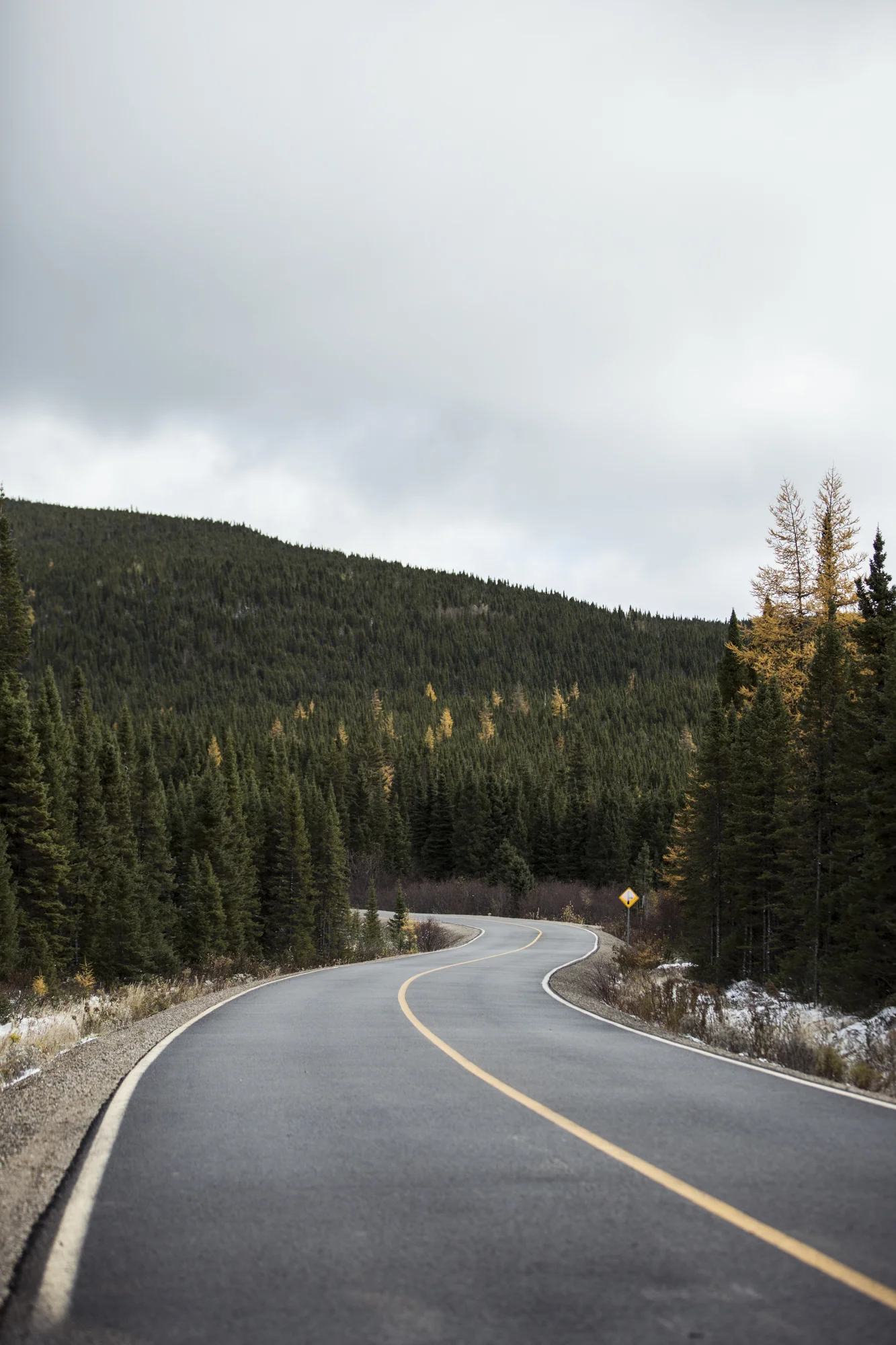 2T3A3927-Edit-Edit.jpg