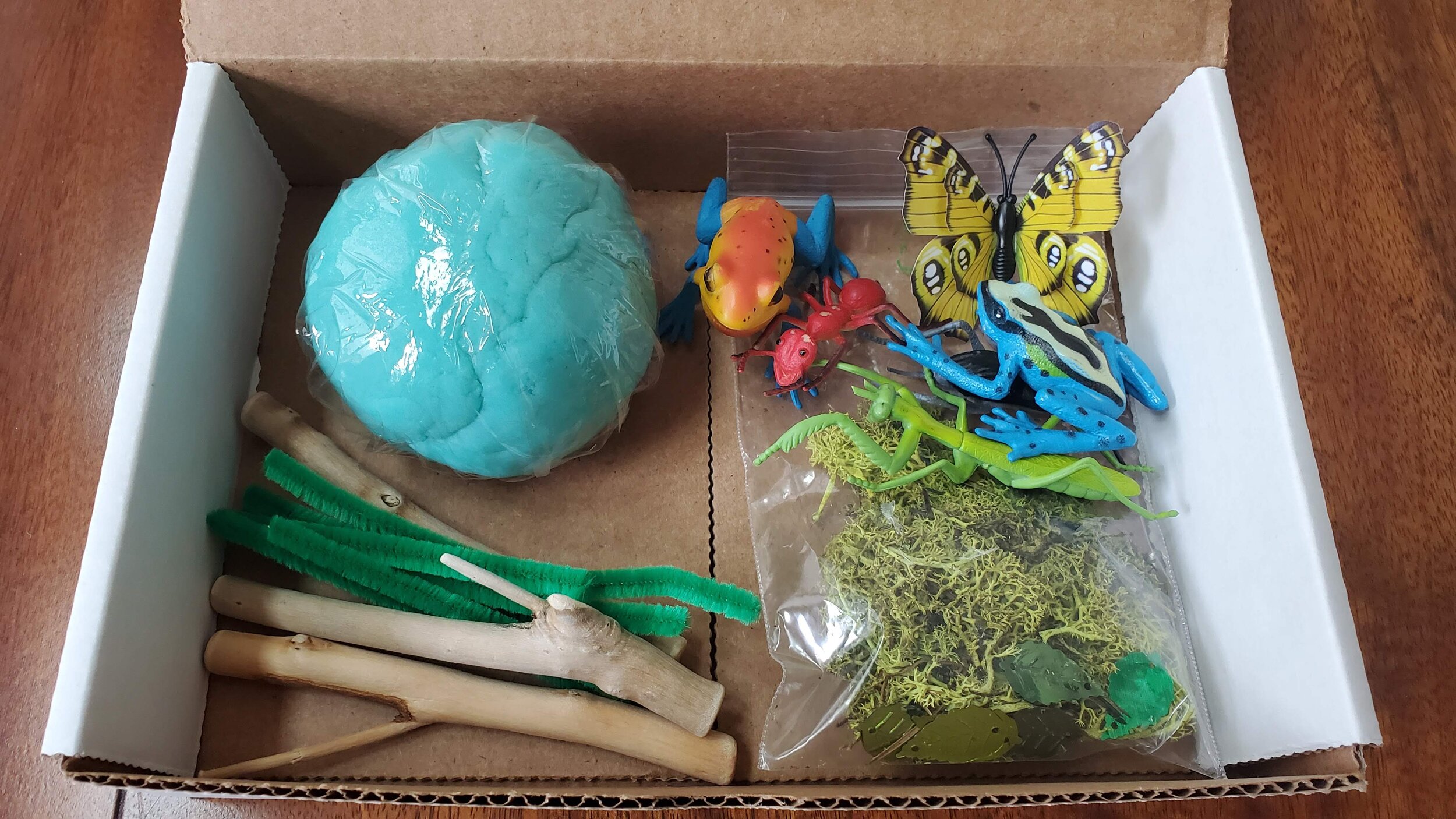 Play Dough Sensory Art Kit-Insects &amp; Frogs