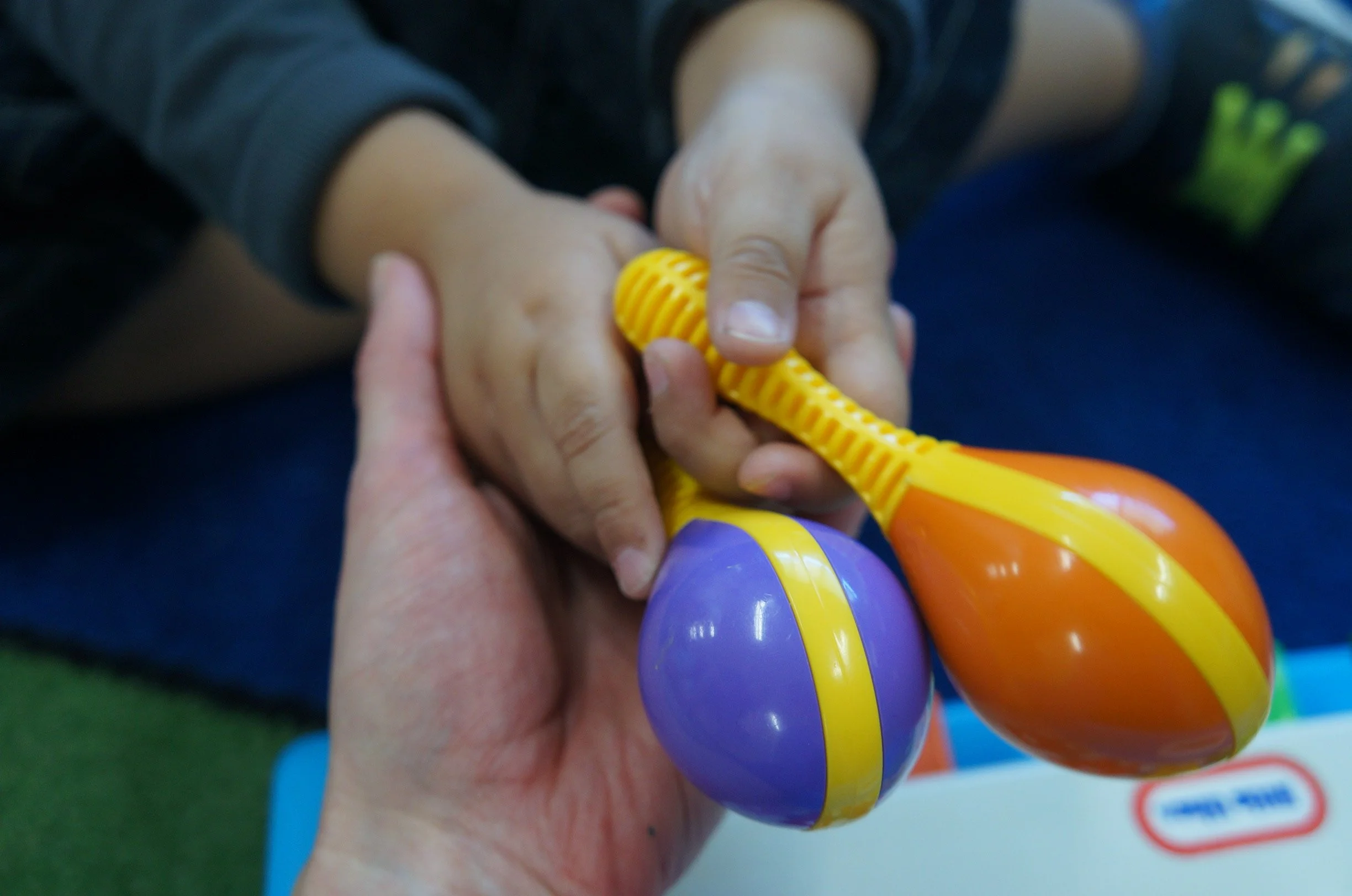 Maracas image.JPG