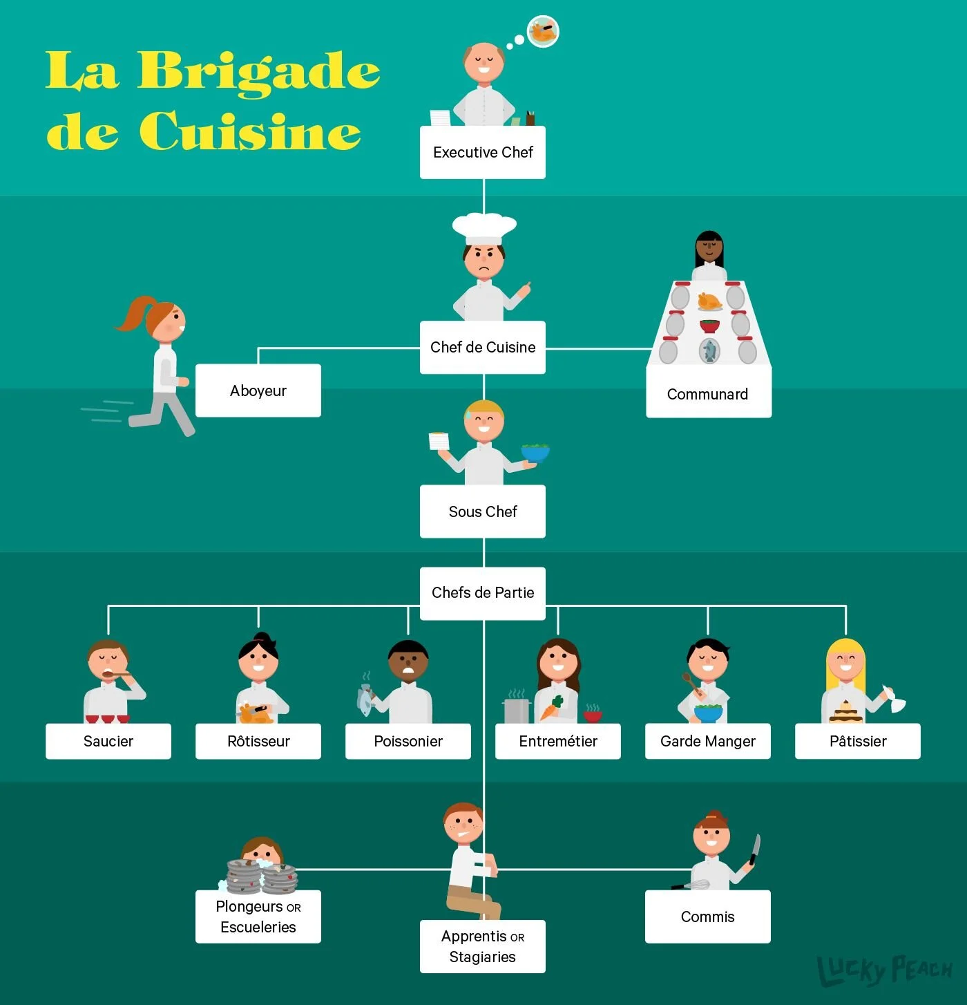 「La brigade de cuisine」廚房體制圖。本圖中在「chef de cuisine」(廚房主廚)之上還有一個「Executive Chef」(行政主廚,法文為「chef exécutif」),將廚房的日常營運與管理工作職責分開,是假設在極大的集團中出現的情形。此時行政主廚可能會需要管理好幾個廚房、而每個廚房都有一個實際領導日常事務的主廚。 一般在高級飯店中,較常見的情形會是由「sous-chef」(副主廚)擔任圖中「chef de cuisine」(廚房主廚)的工作,而「chef cuisinier」(主廚)負責圖中「Executive Chef」(行政主廚)的職責。 (圖片來源:Carolyn Bahar for Lucky Peach)