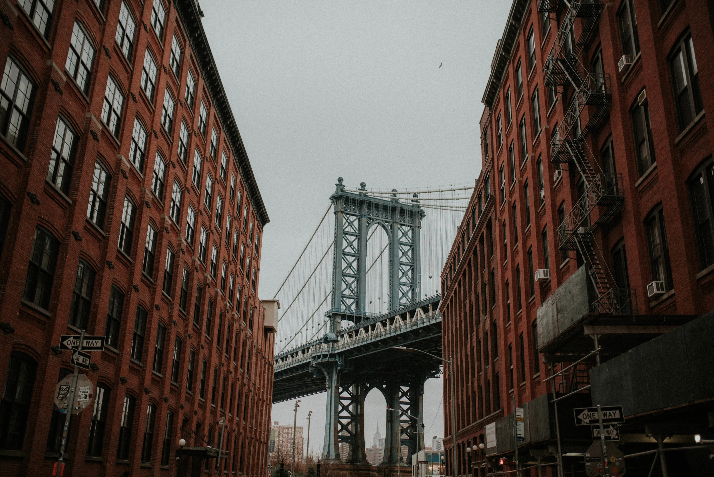 DSC_6852.jpg