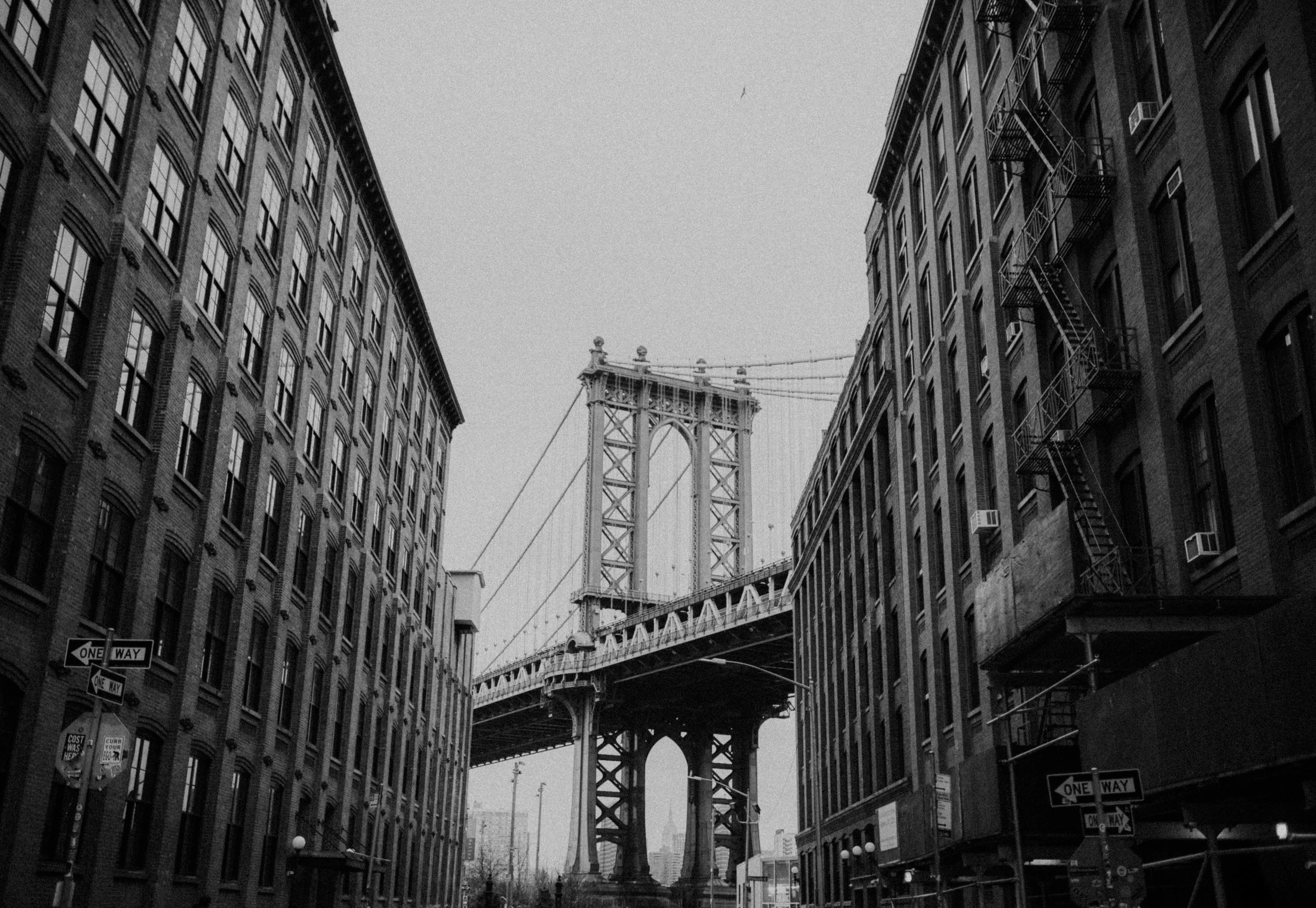 DSC_6854.jpg