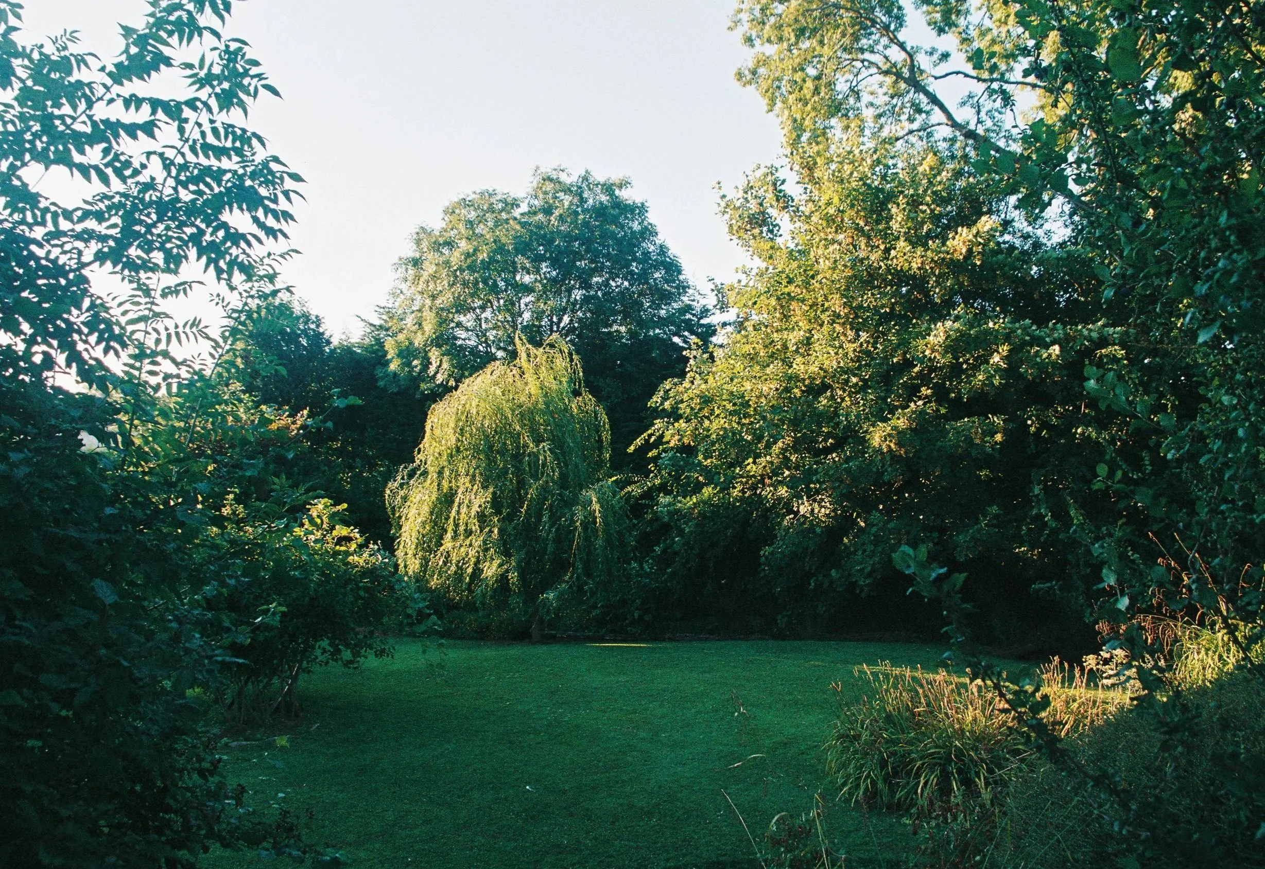 ryanchrist002393-R1-028.jpg