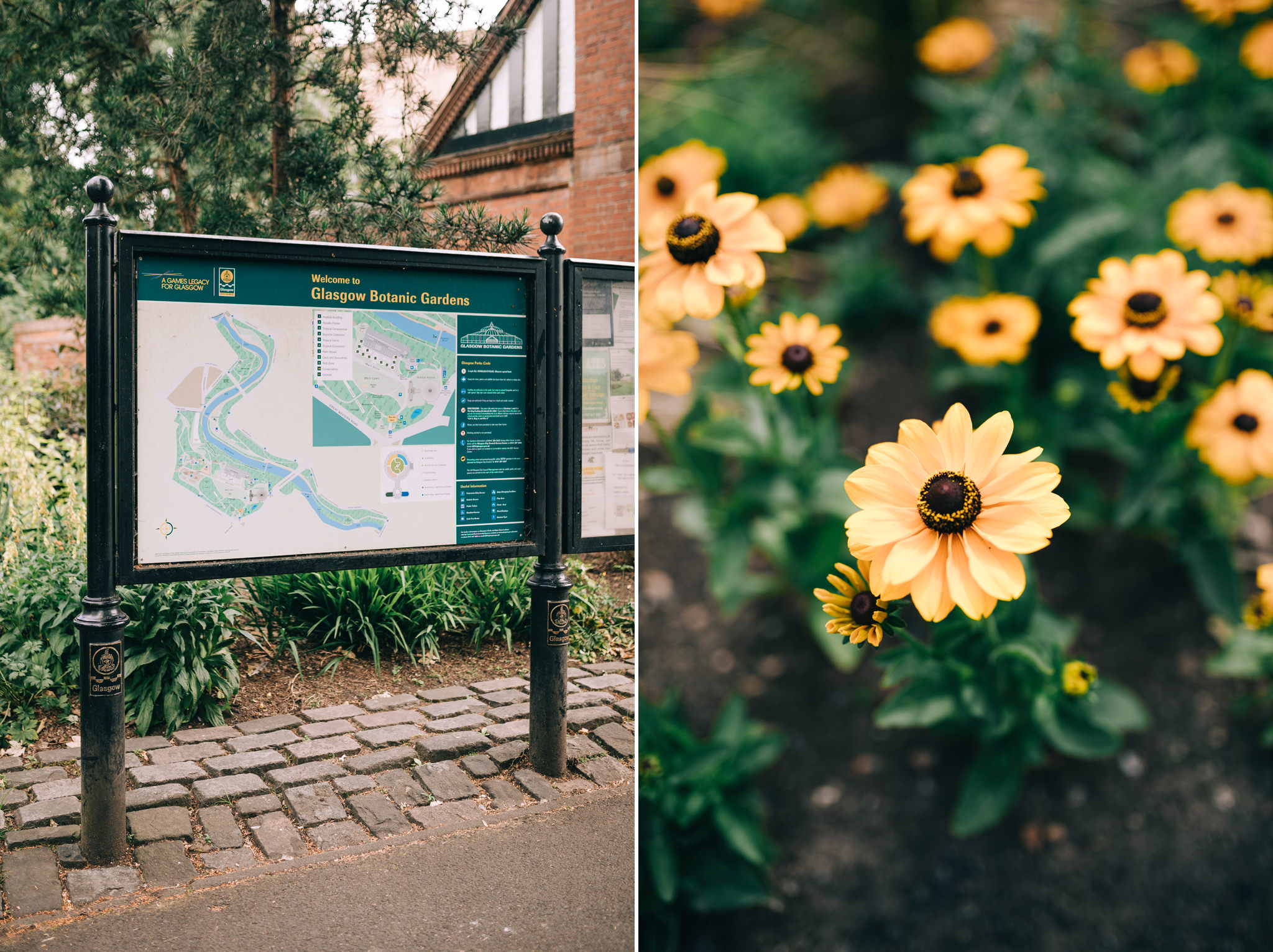 glasgow botanic gardens wedding photographer