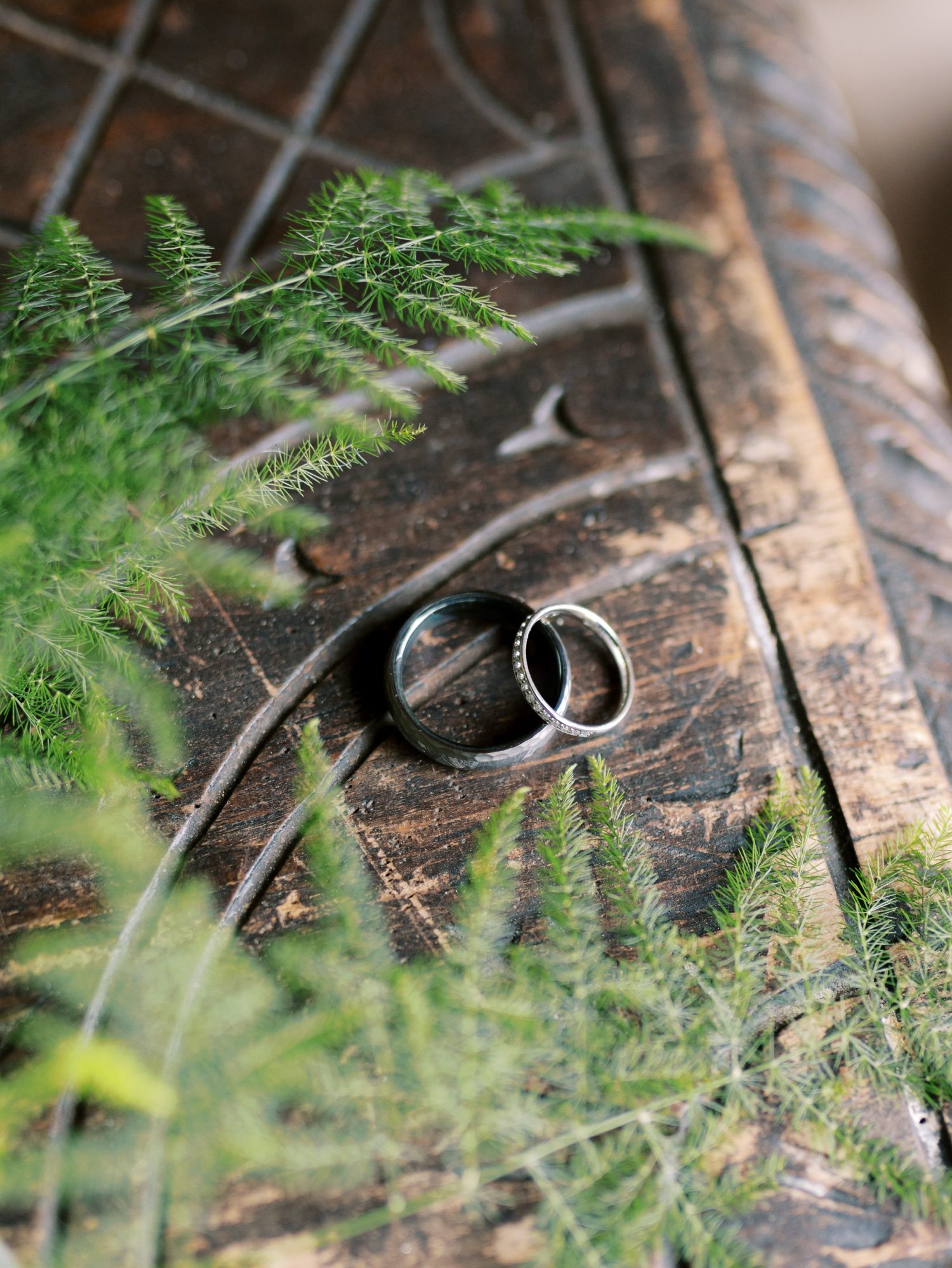 11_wedding rings at leuchie walled garden near north berwick east lothian scotland.jpg