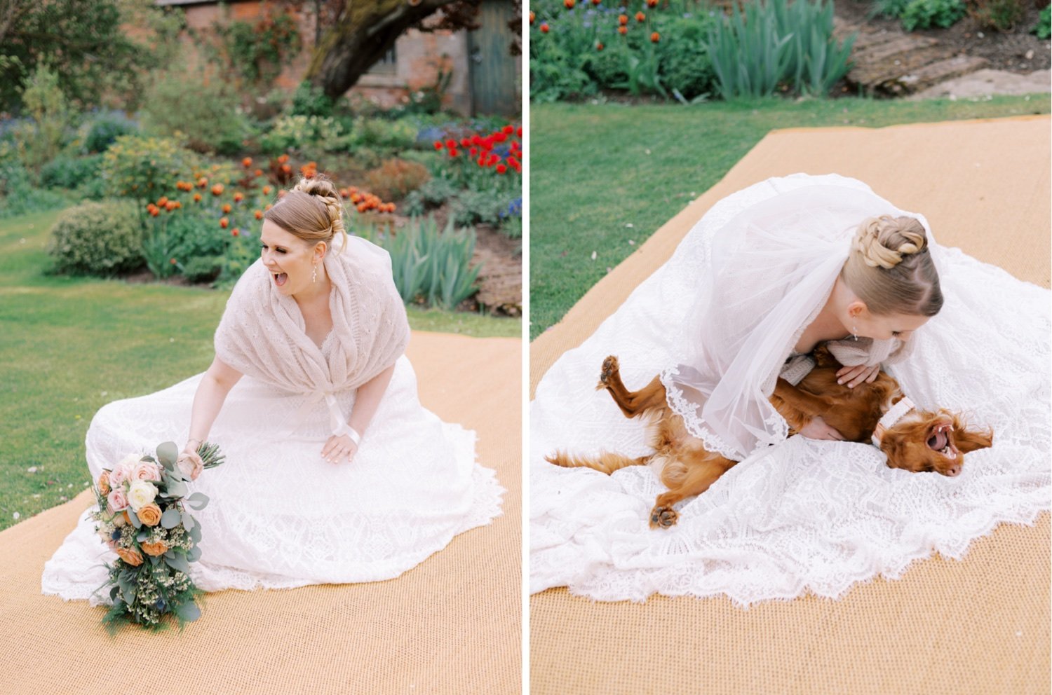 33_bride and her dog at leuchie walled garden near north berwick east lothian scotland_bride laughing with her dog under her dress at leuchie walled garden near north berwick east lothian scotland.jpg