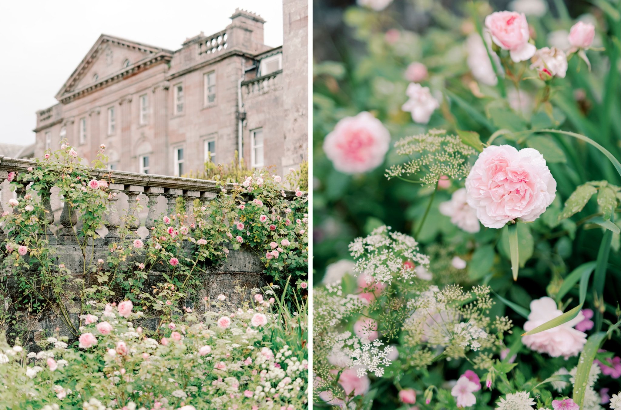 02_springkell-house-wedding-photographer-dumfries-scotland-garden_springkell-house-wedding-photographer-dumfries-scotland-roses.jpg
