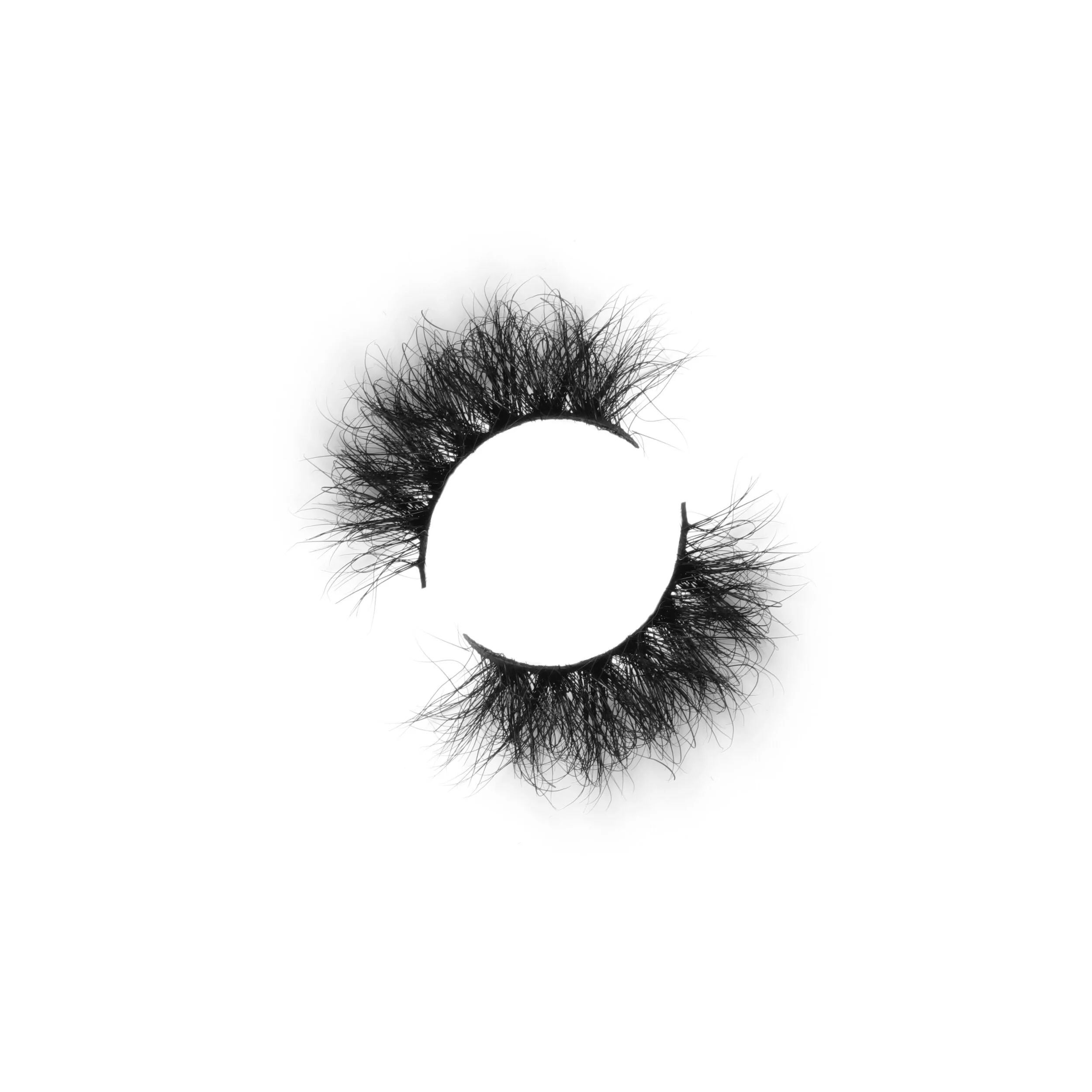 903A2E99-C99D-4A36-B969-BC034897E1AA