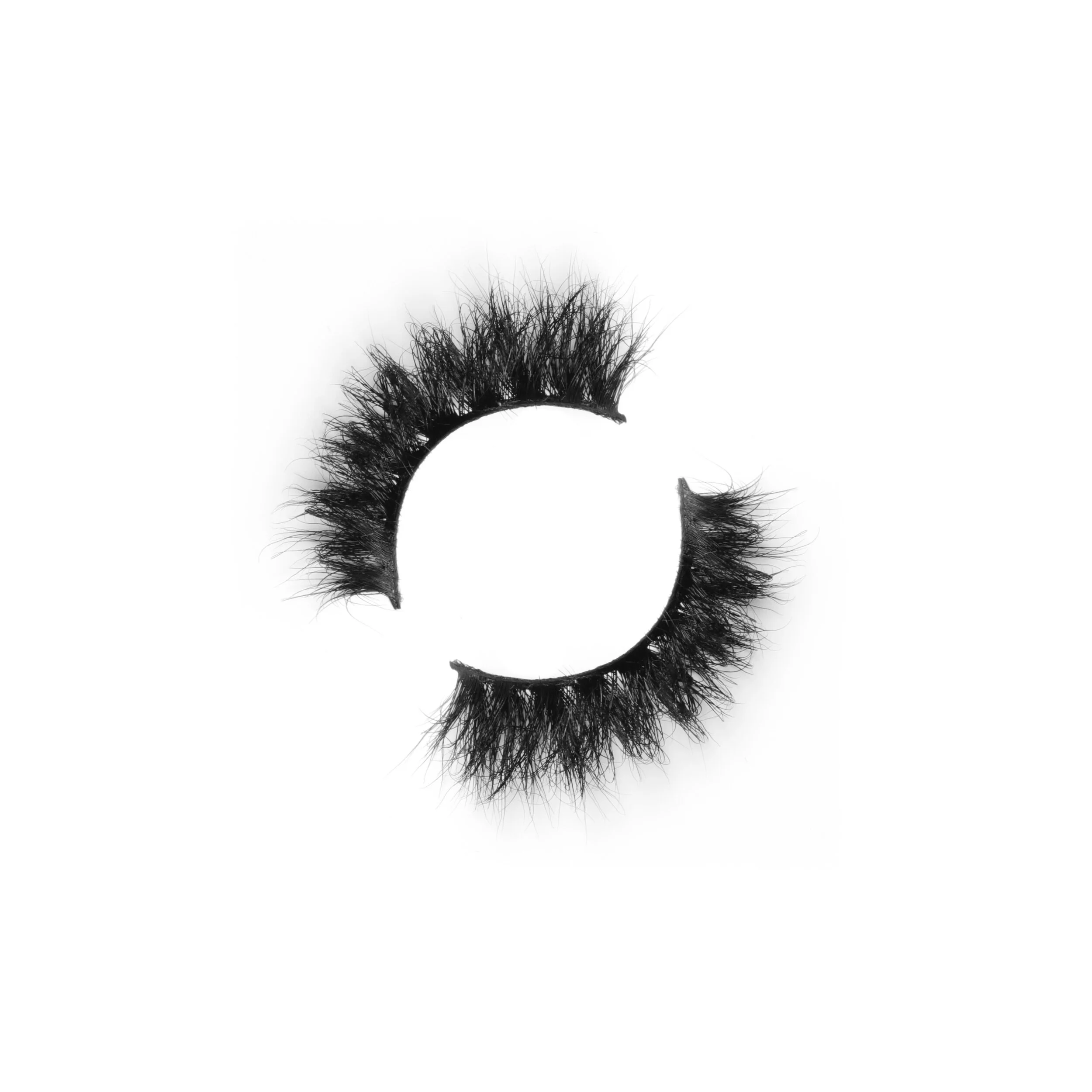 C89E3E68-D06A-406D-9542-45F1ADD70C7D