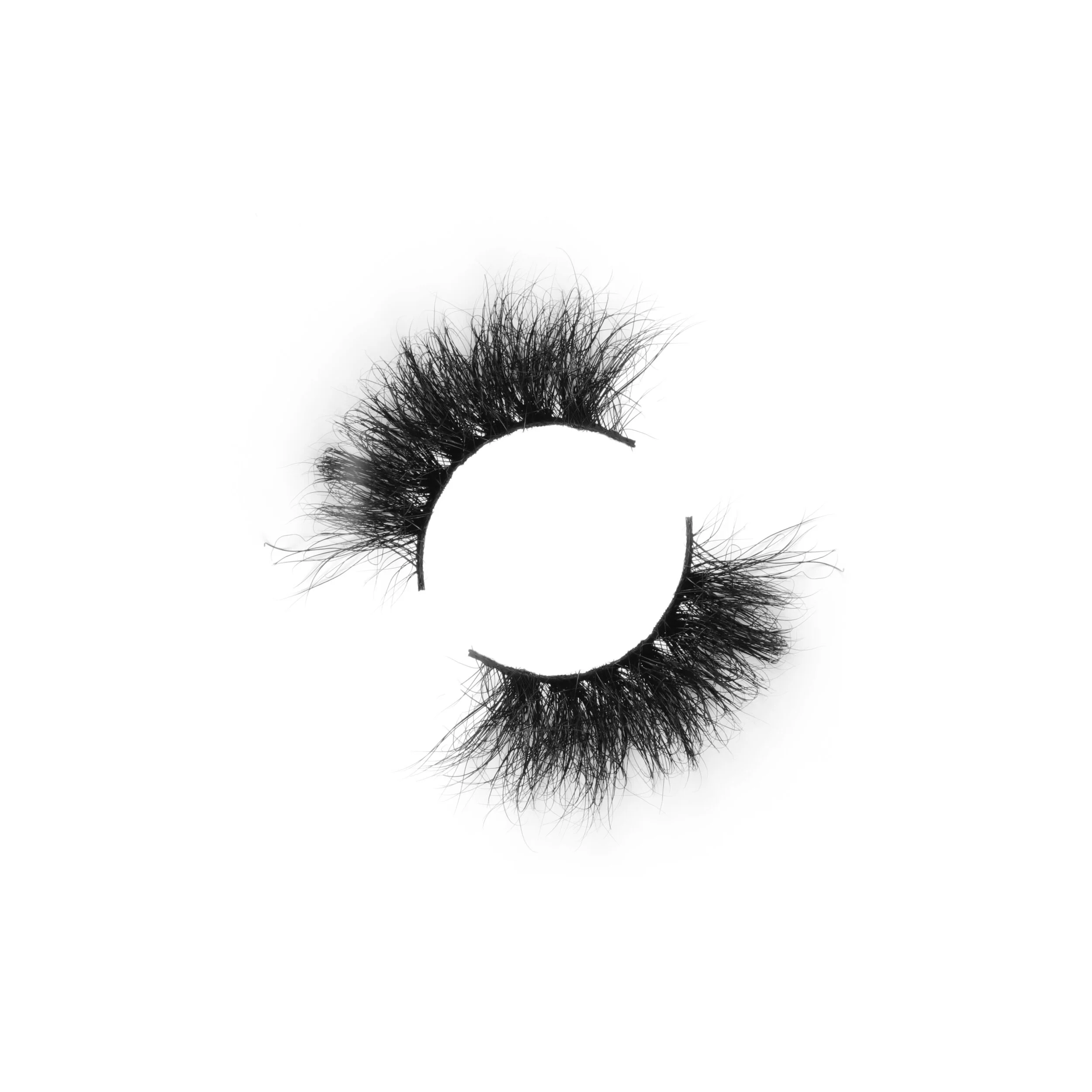 18ADBAB2-009A-4F80-B127-F07B3A37F4D8