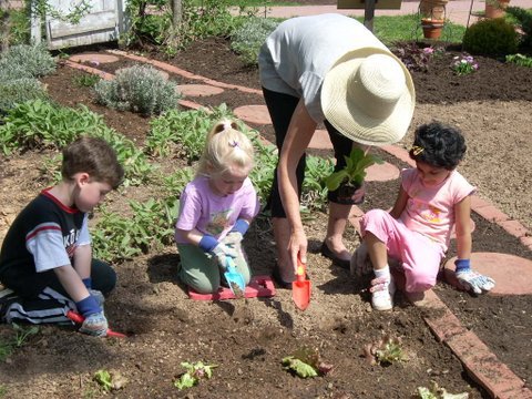 Children planting in the vegetable garden