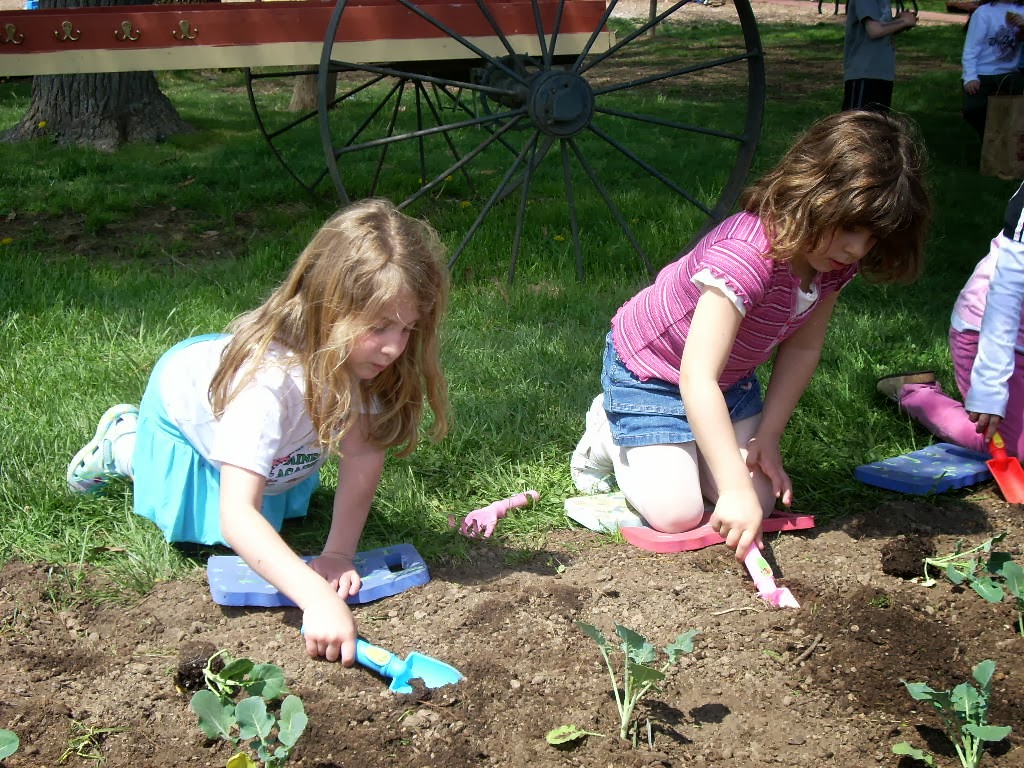 Gardening in the vegetable garden