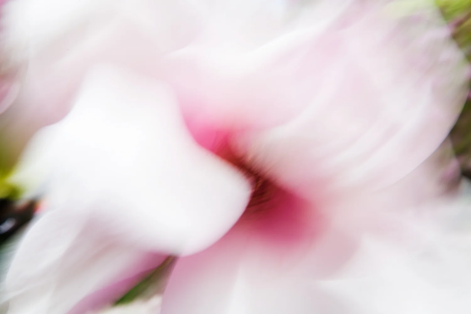 Blossoms No. 2
