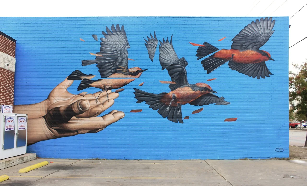 Dallas, TX