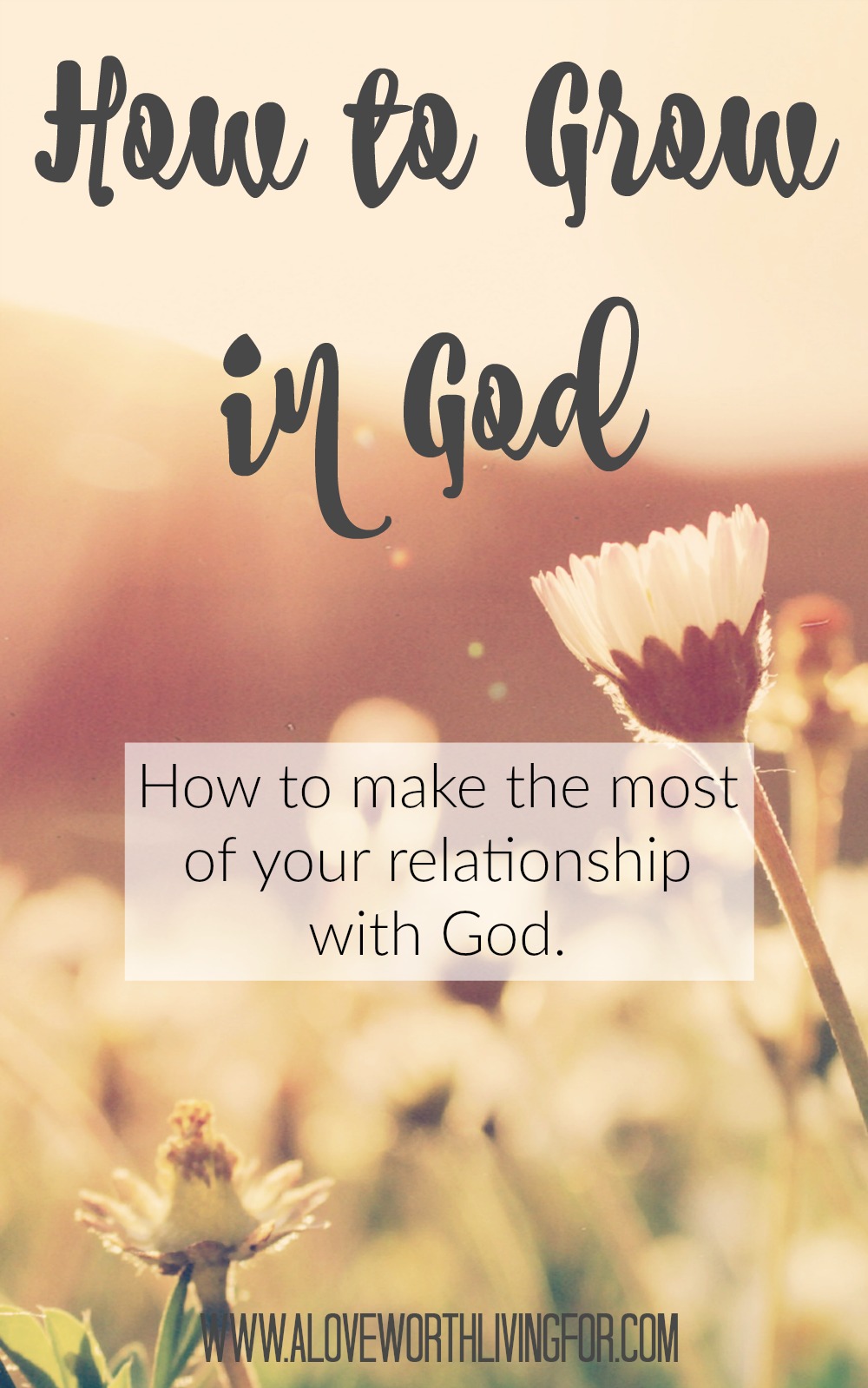 How To Grow In God - The Meaning Of The Parable Of The Sower — A Love Worth  Living For