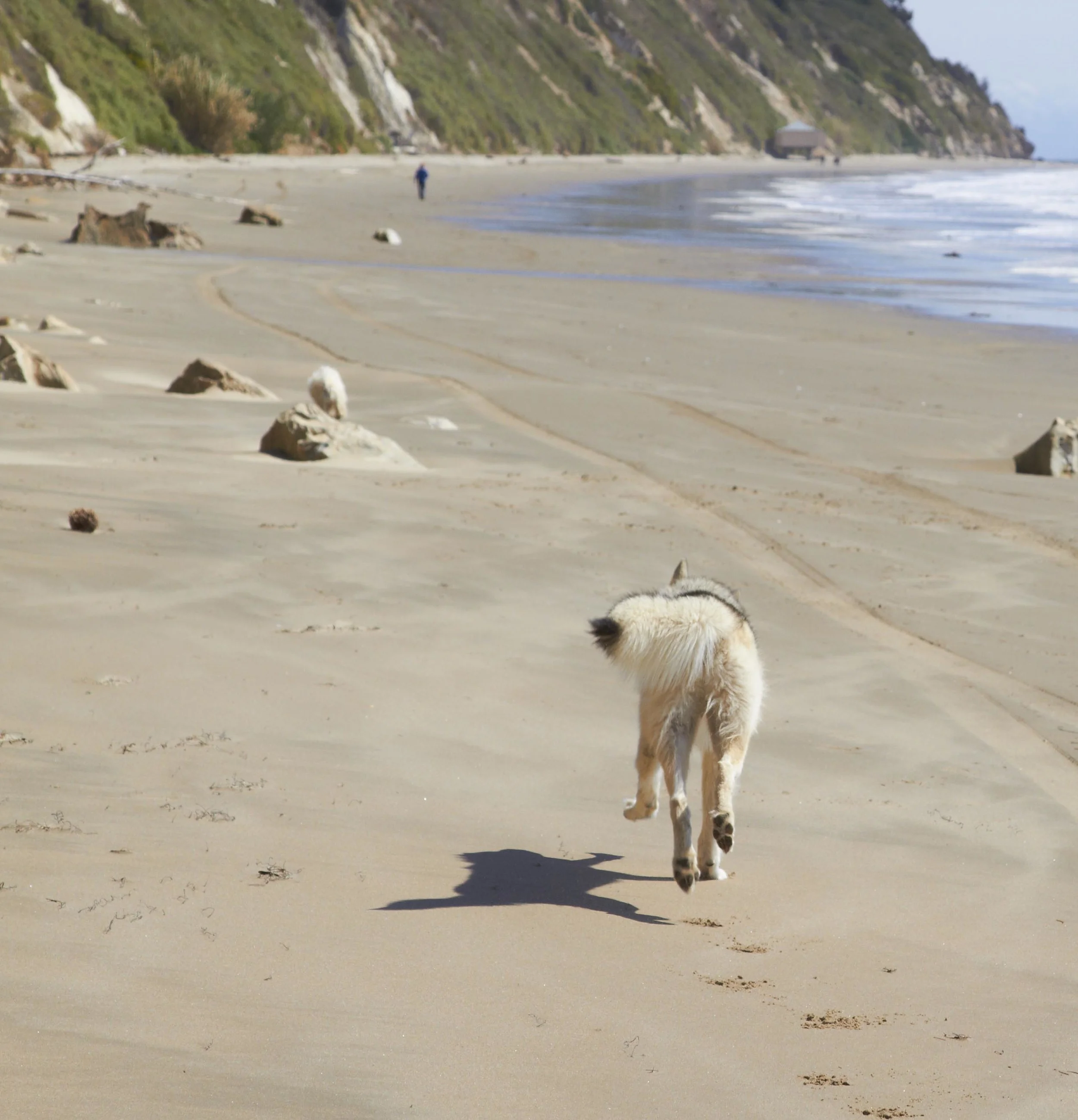 Husky Beach.jpg