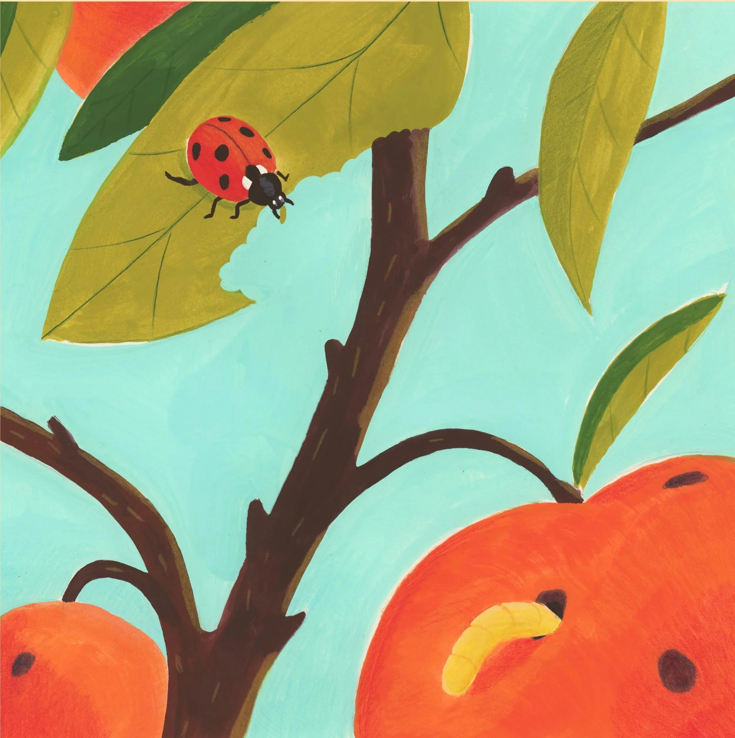 Lady+bug.jpg